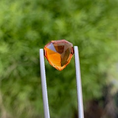 4,60 Karat Natürliche Lose Orange Mandarin Citrin Fancy Schild Schliff Ring Edelstein