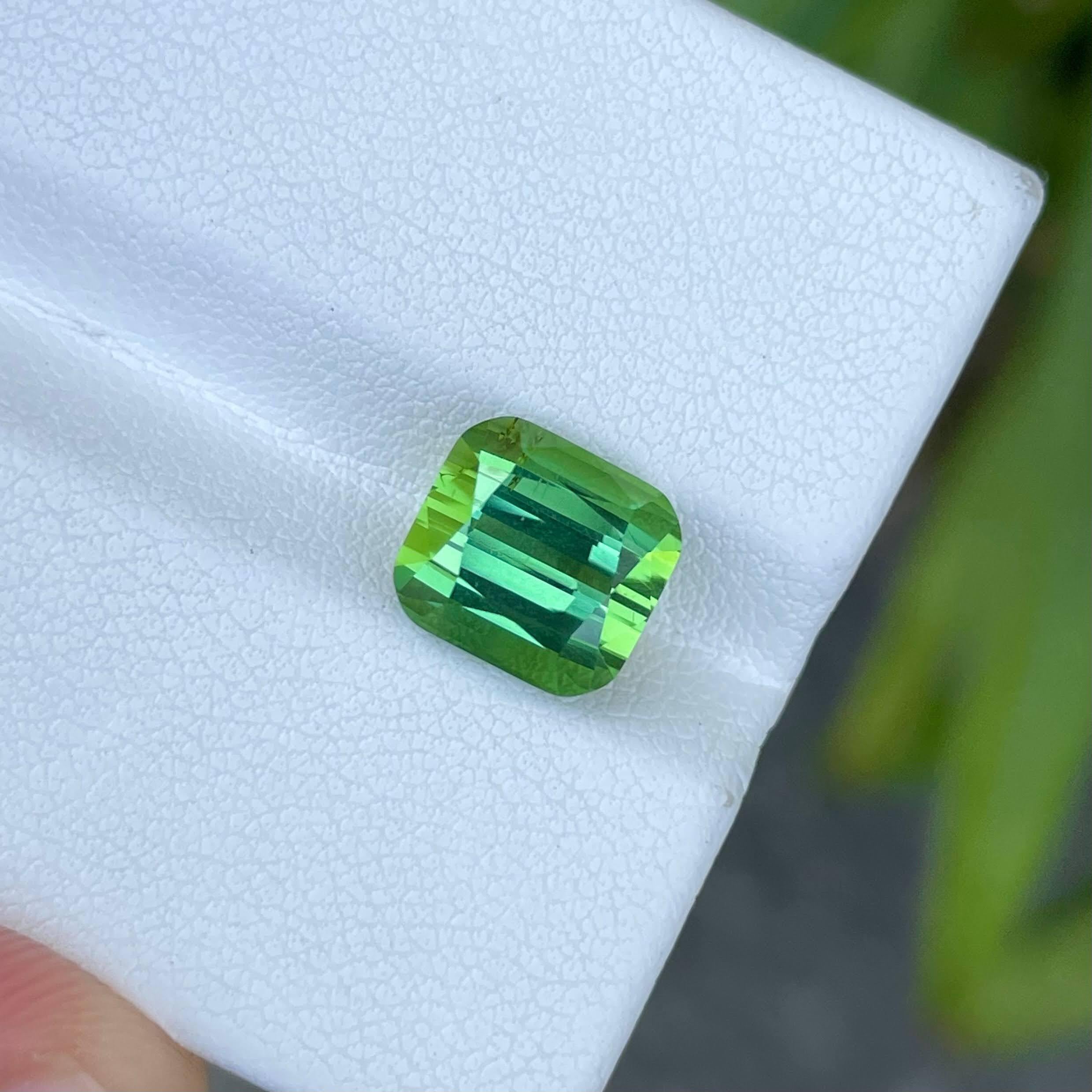 Weight 2.70 carats 
Dimensions 8.65x7.26x4.80 mm
Treatment none 
Origin Tanzania 
Clarity Loupe clean 
Shape cushion 
Cut fancy cushion 





In a breathtaking display of nature's artistry, a 4.61 carat Greenish Blue Tourmaline takes center stage,