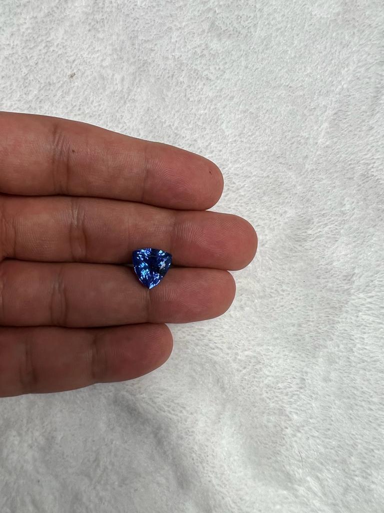 SKU - 50014
Stone : Natural Tanzanite
Shape - 	Trillion
Clarity -  Eye clean
Grade -  AAA	
Weight - 4.63 Cts
Length * Width * Height  -  11*11*6.4
Price -  $1650		

AAA Tanzanite is one of the rarest gemstones in the world. Get this beautiful gem to