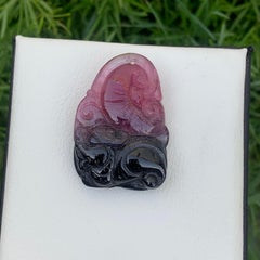 Superbe tourmaline teintée bicolore de 46,55 carats provenant de Madagascar, Afrique