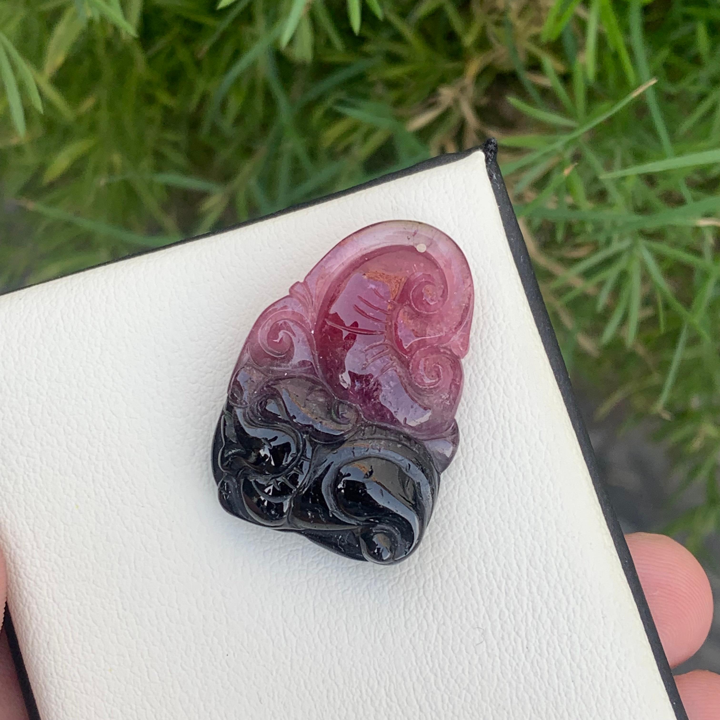 Carved 46.55 Carat Stunning Bi Color Drilled Tourmaline Carving from Madagascar Africa For Sale