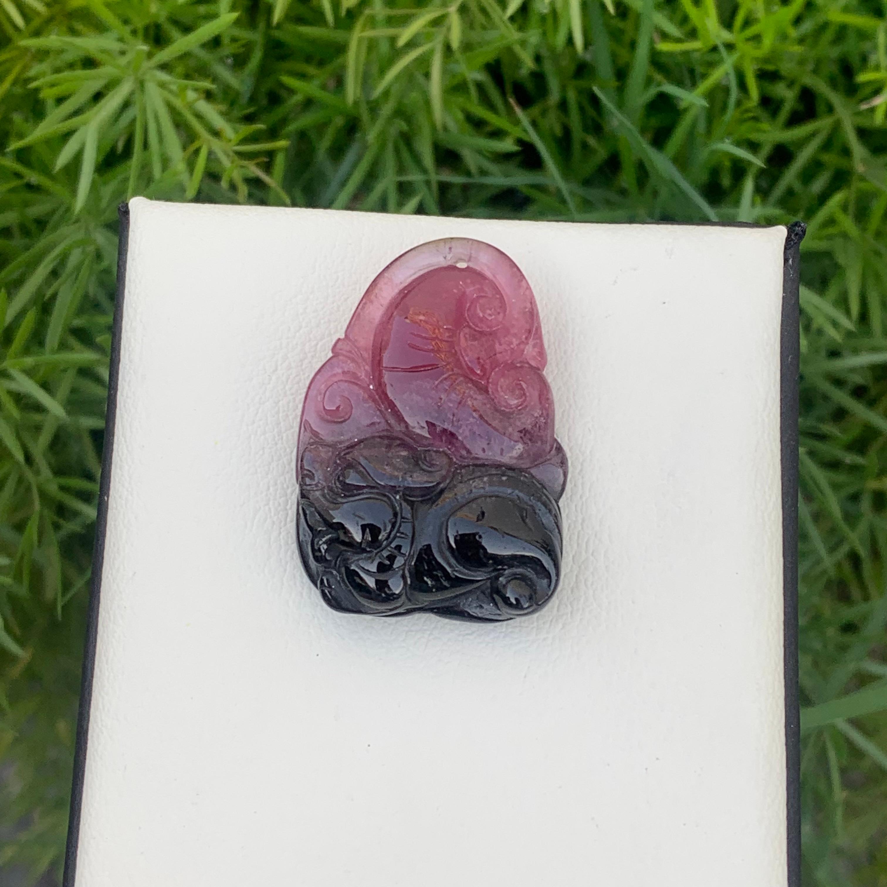 Cristal Superbe tourmaline teintée bicolore de 46,55 carats provenant de Madagascar, Afrique en vente