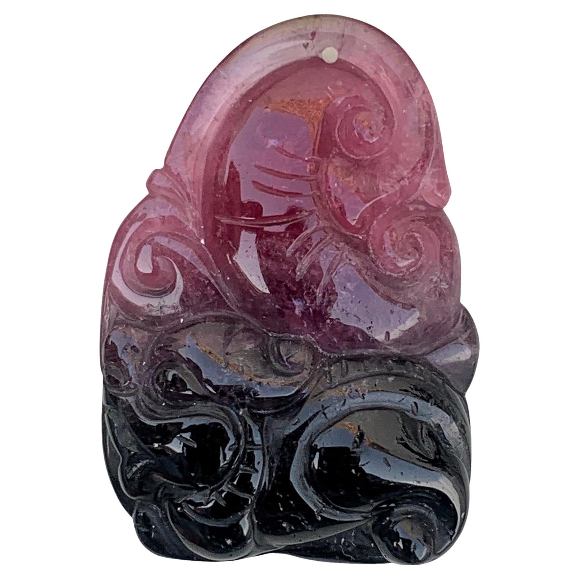46.55 Carat Stunning Bi Color Drilled Tourmaline Carving from Madagascar Africa For Sale