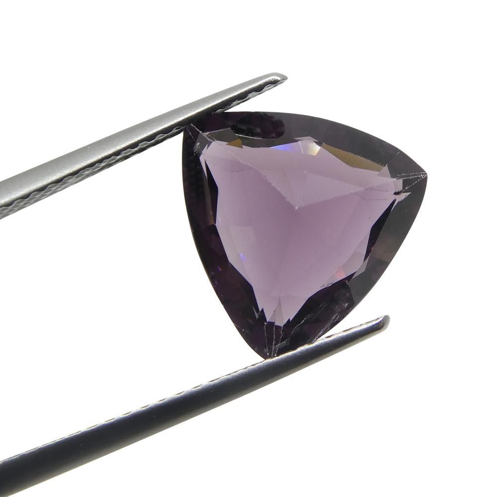 4.65ct Trillion Purple Spinel de Birmanie en vente 8
