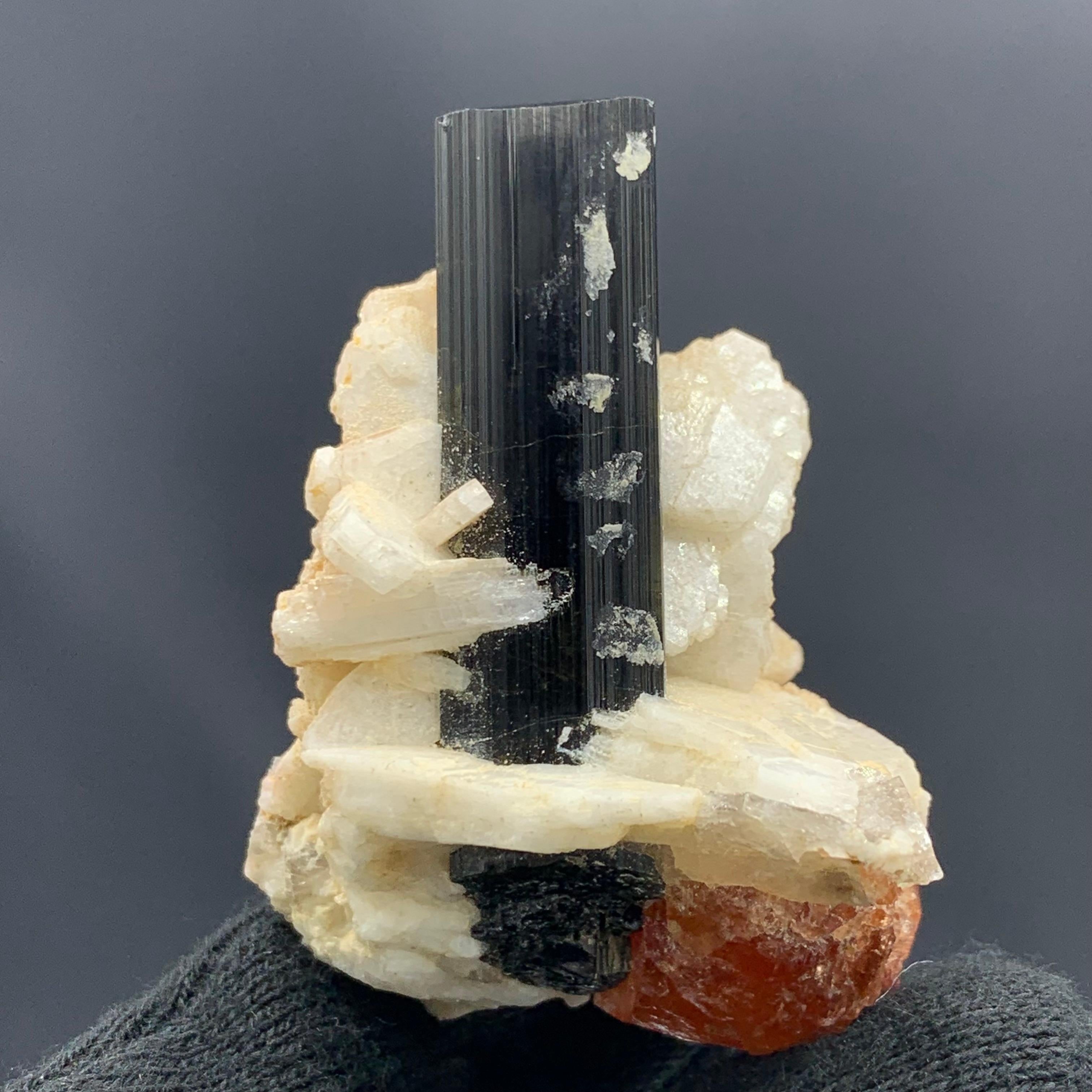 46.75 Gram Elegant Elongated Black Tourmaline on Spessartine Garnet Specimen  For Sale 4