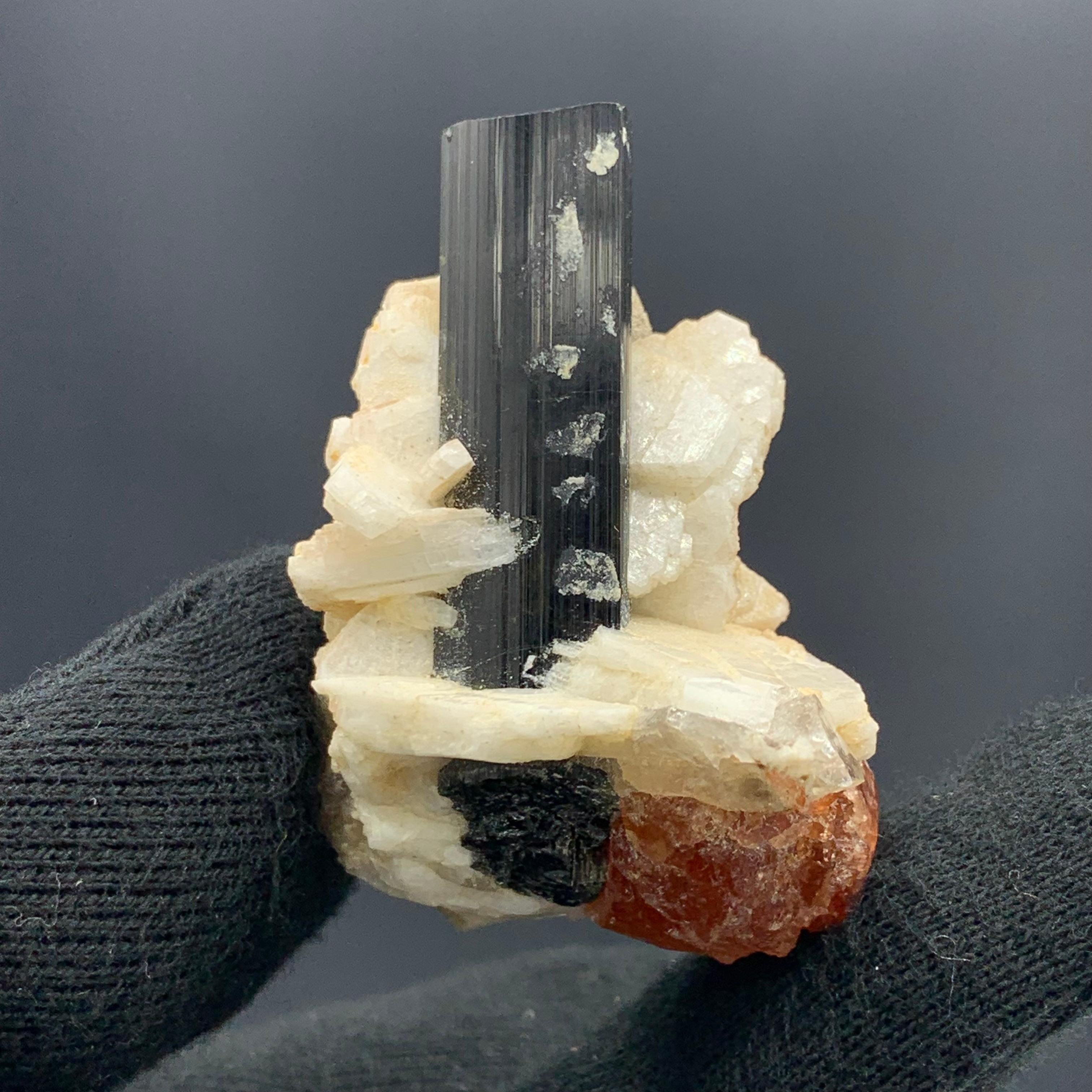 46.75 Gram Elegant Elongated Black Tourmaline on Spessartine Garnet Specimen 

Weight: 46.75 Gram
Dimension: 4.9 x 3.6 x 2.6 Cm 
Origin: Skardu, Pakistan 

Tourmaline with Spessartine Garnet helps us to see challenges as adventures and to move with