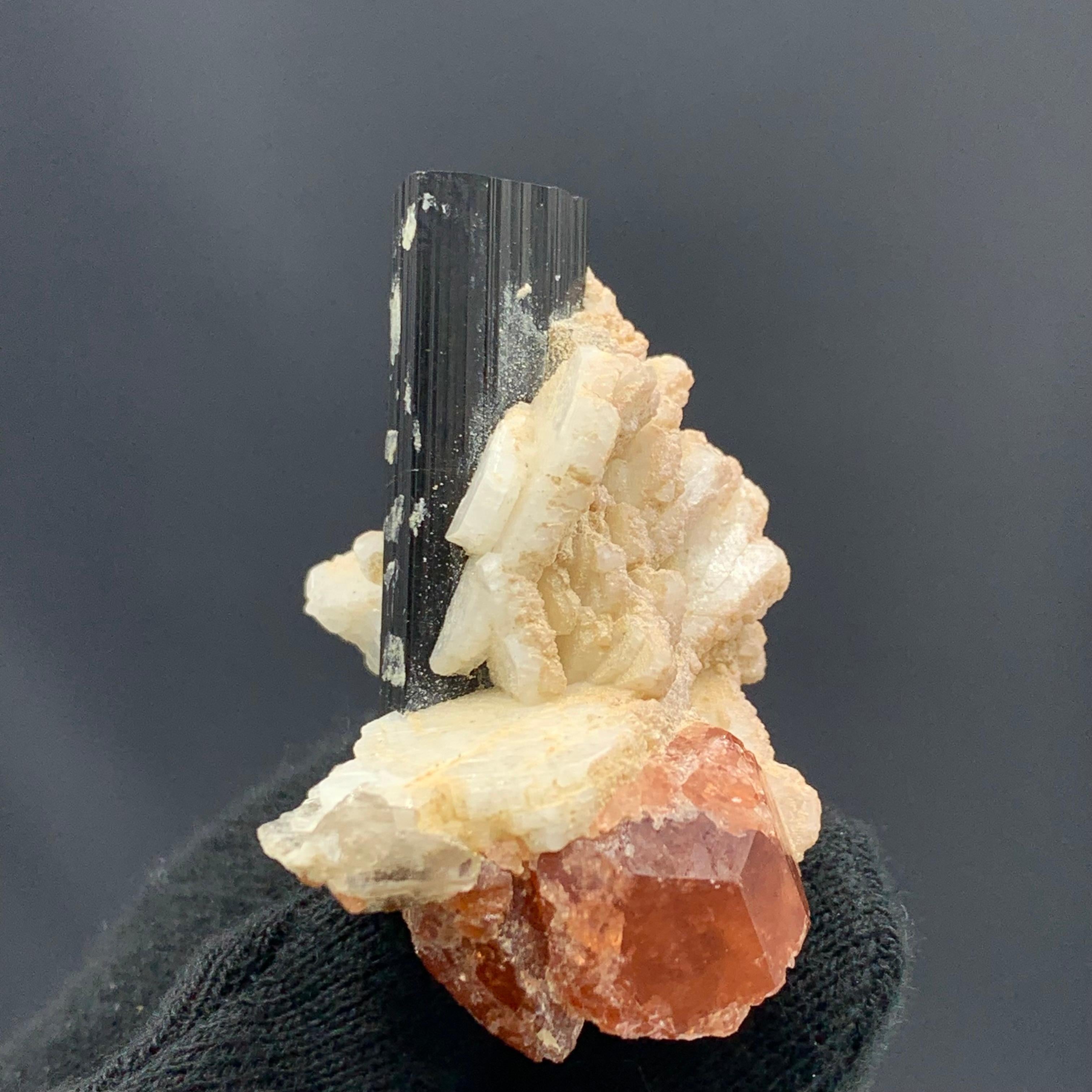 Other 46.75 Gram Elegant Elongated Black Tourmaline on Spessartine Garnet Specimen  For Sale