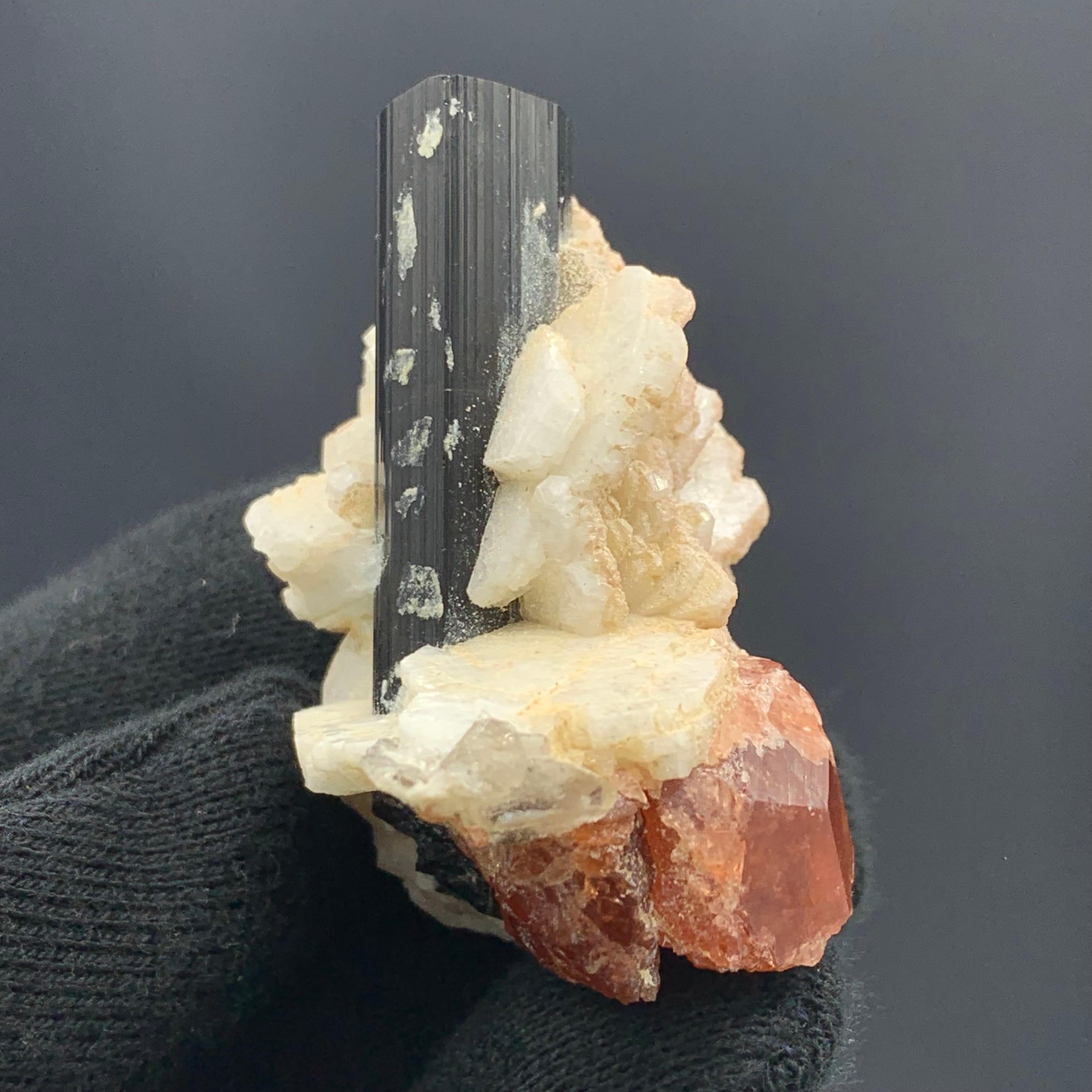 46,75 Gramos Elegante Turmalina Negra Alargada sobre Especímen de Granate Espesartina Otro en venta