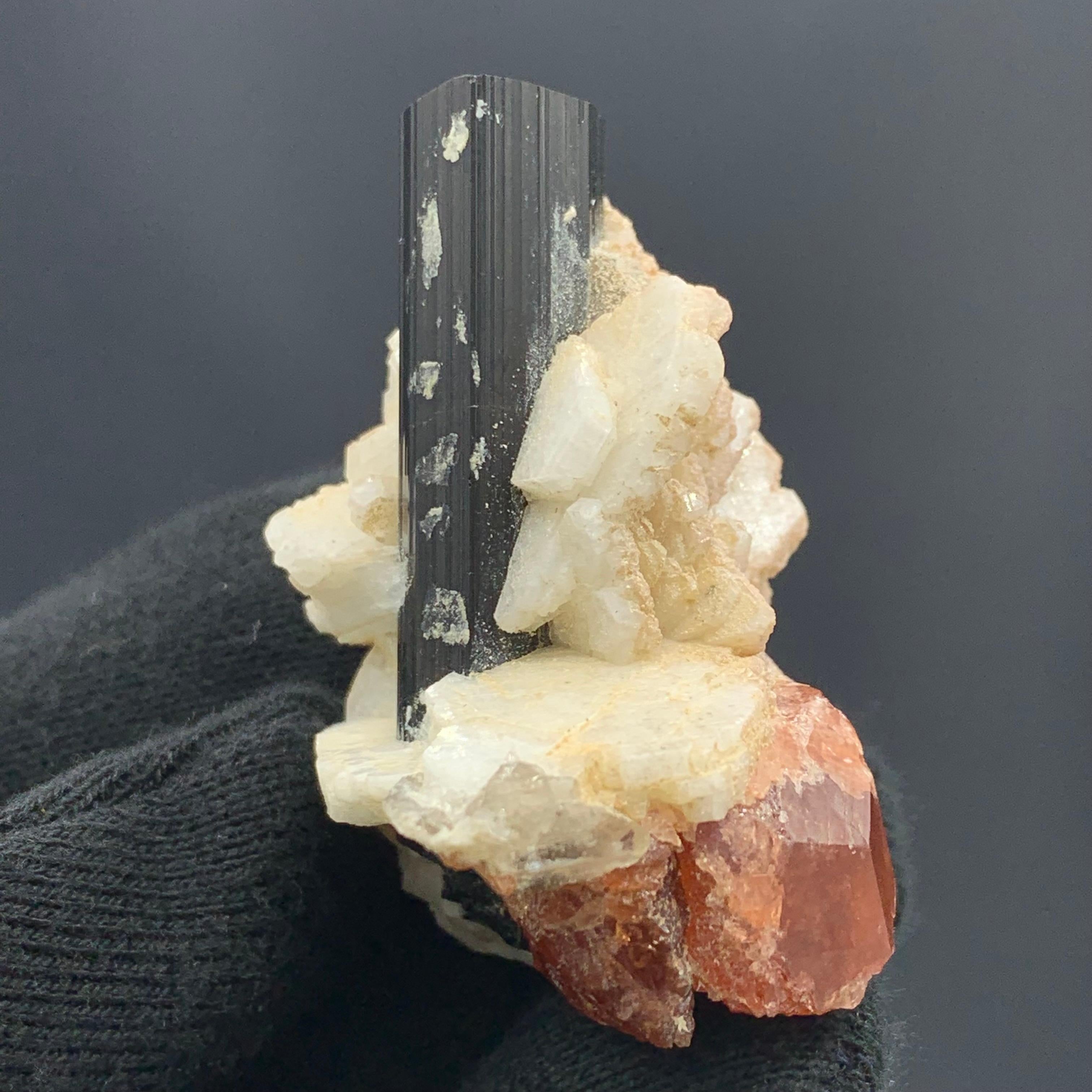 46,75 Gramos Elegante Turmalina Negra Alargada sobre Especímen de Granate Espesartina en Bueno estado para la venta en Peshawar, PK