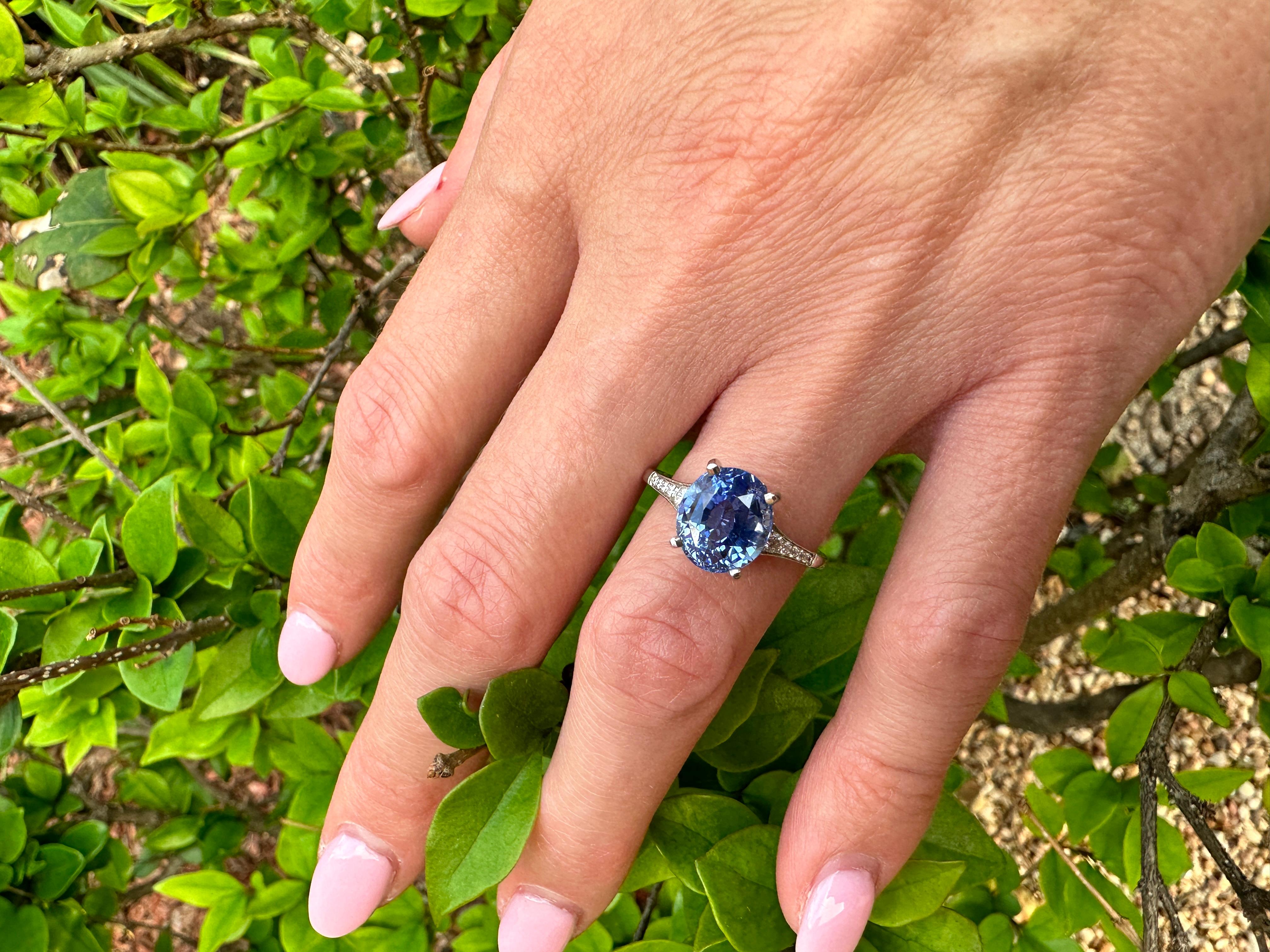 Extremely rare and desirable no heat sapphire from Burma (Myanmar) is set in a classic and clean white gold ring with a platinum head.
Certified by GIA with Burma as origin and no indication of heating.
Burmese sapphires are among the most precious