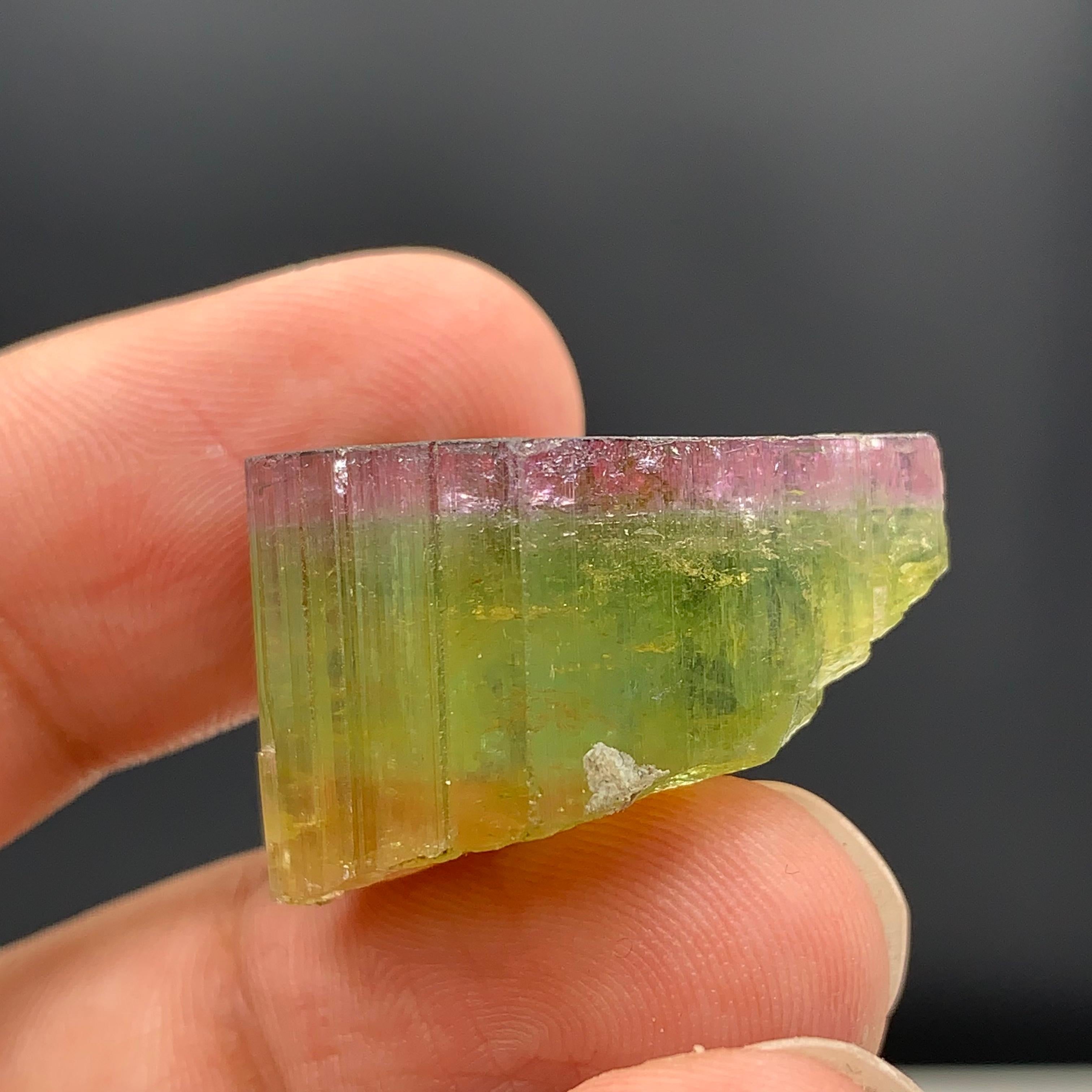 46.90 Carat Elegant Tri Color Tourmaline Crystal From Paprook, Afghanistan  For Sale 4