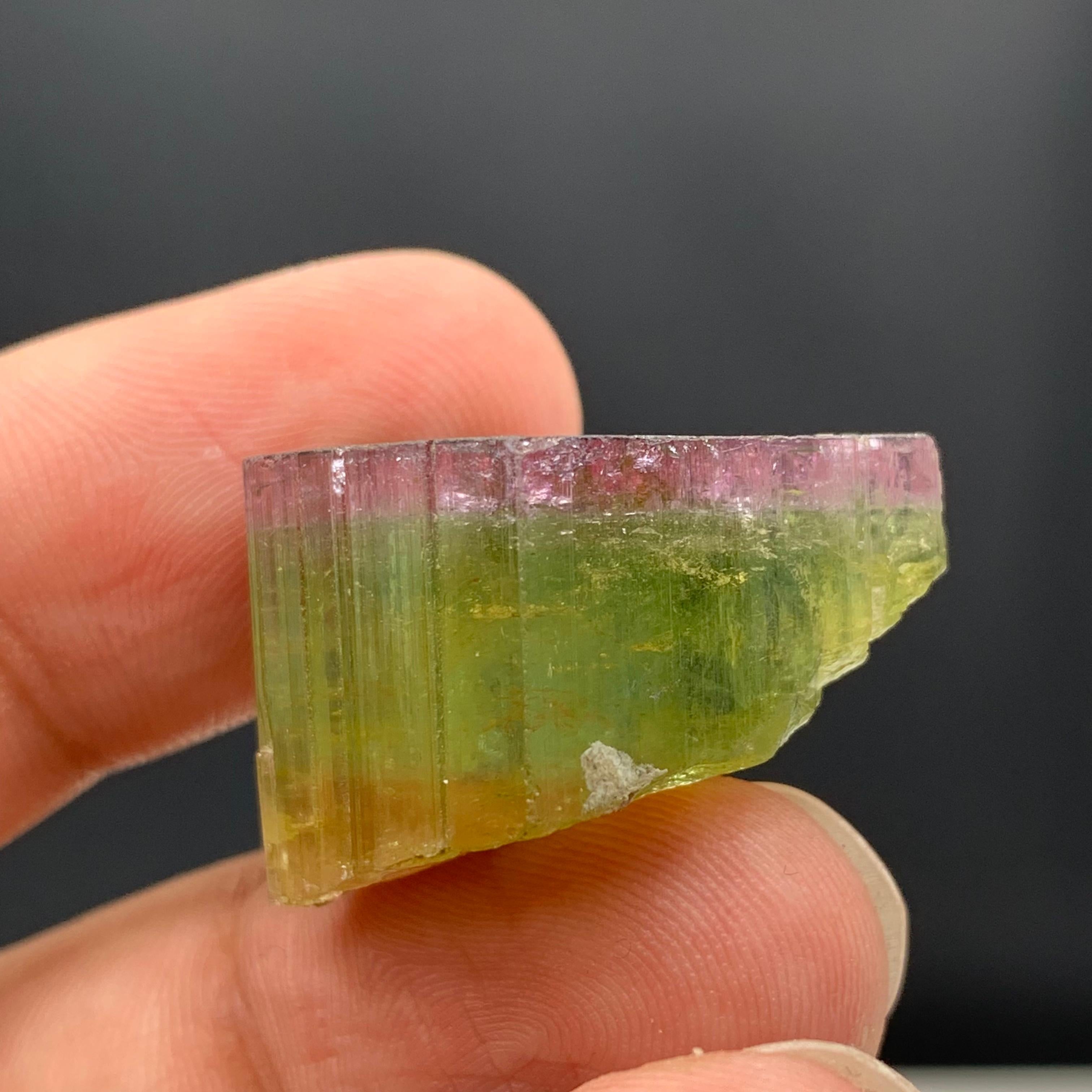 46.90 Carat Elegant Tri Color Tourmaline Crystal From Paprook, Afghanistan  For Sale 5