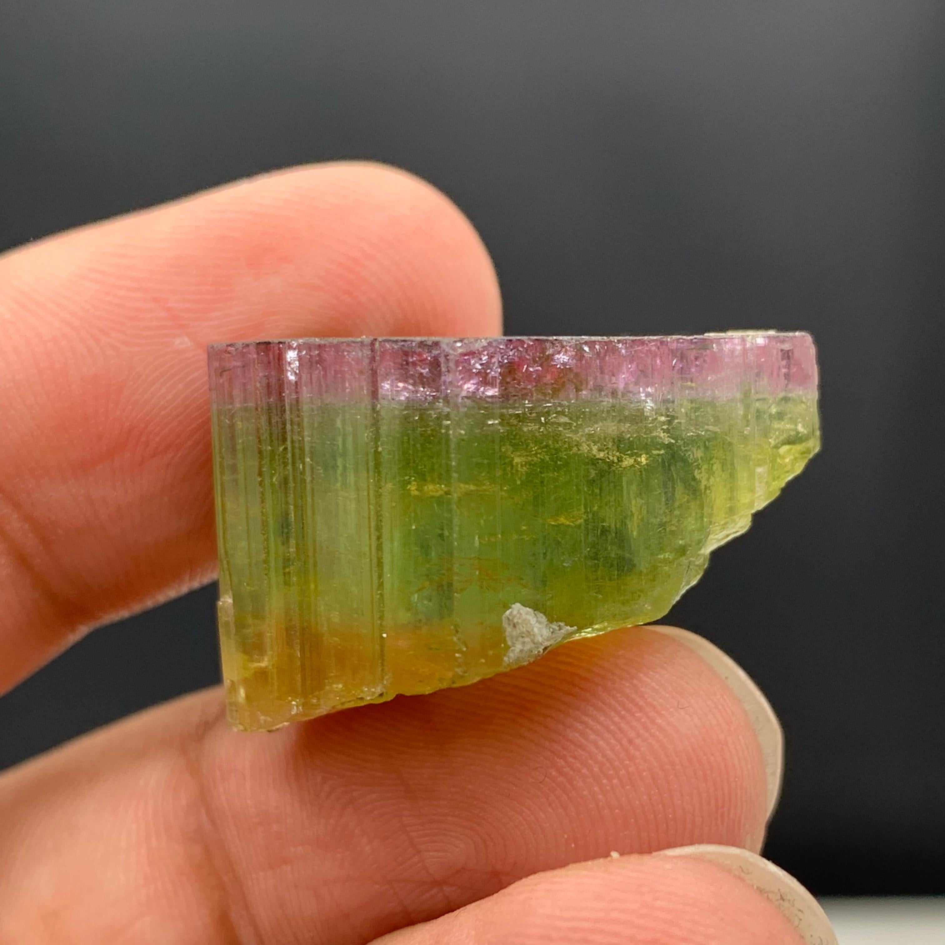 46.90 Carat Elegant Tri Color Tourmaline Crystal From Paprook, Afghanistan  For Sale 6