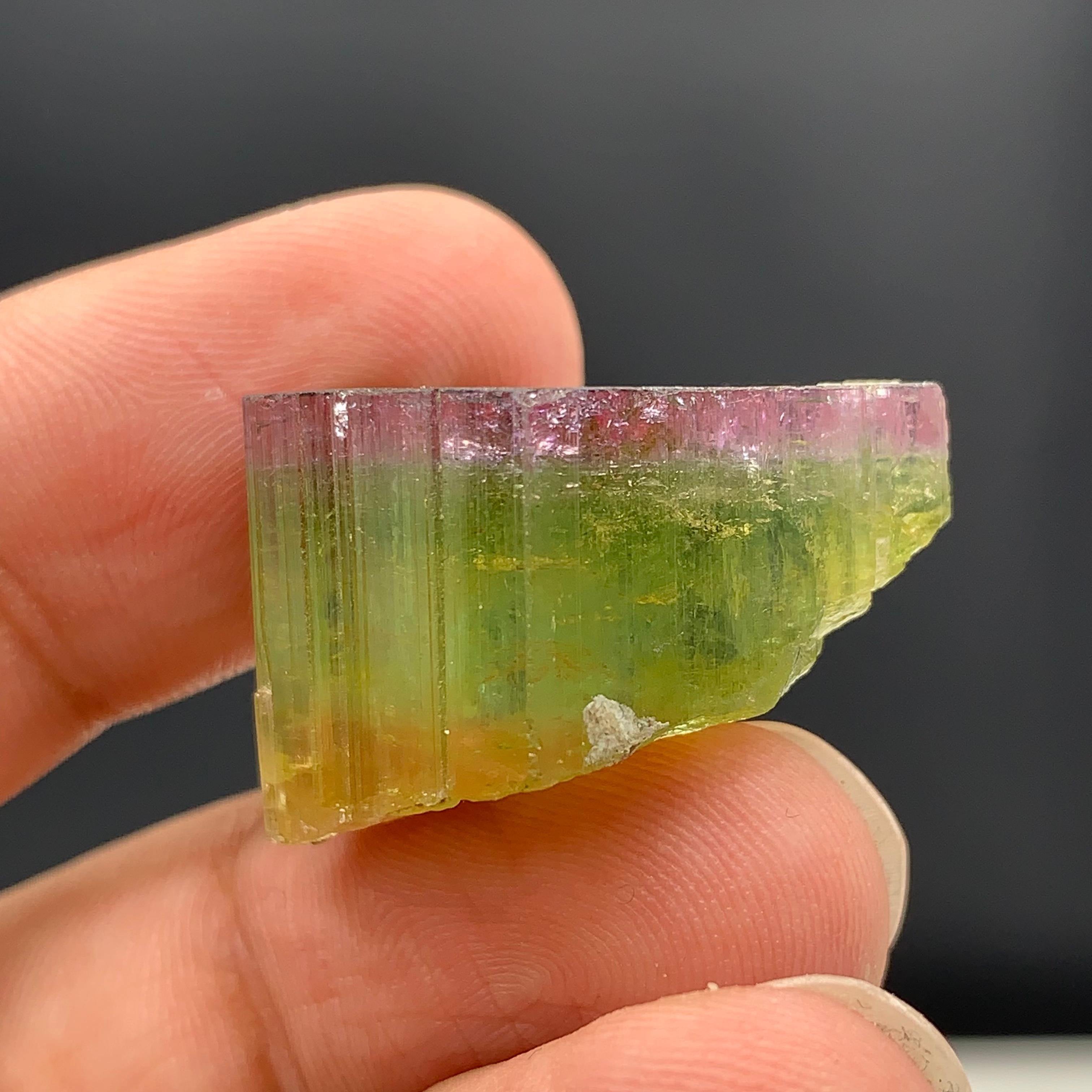 46.90 Carat Elegant Tri Color Tourmaline Crystal From Paprook, Afghanistan  For Sale 7