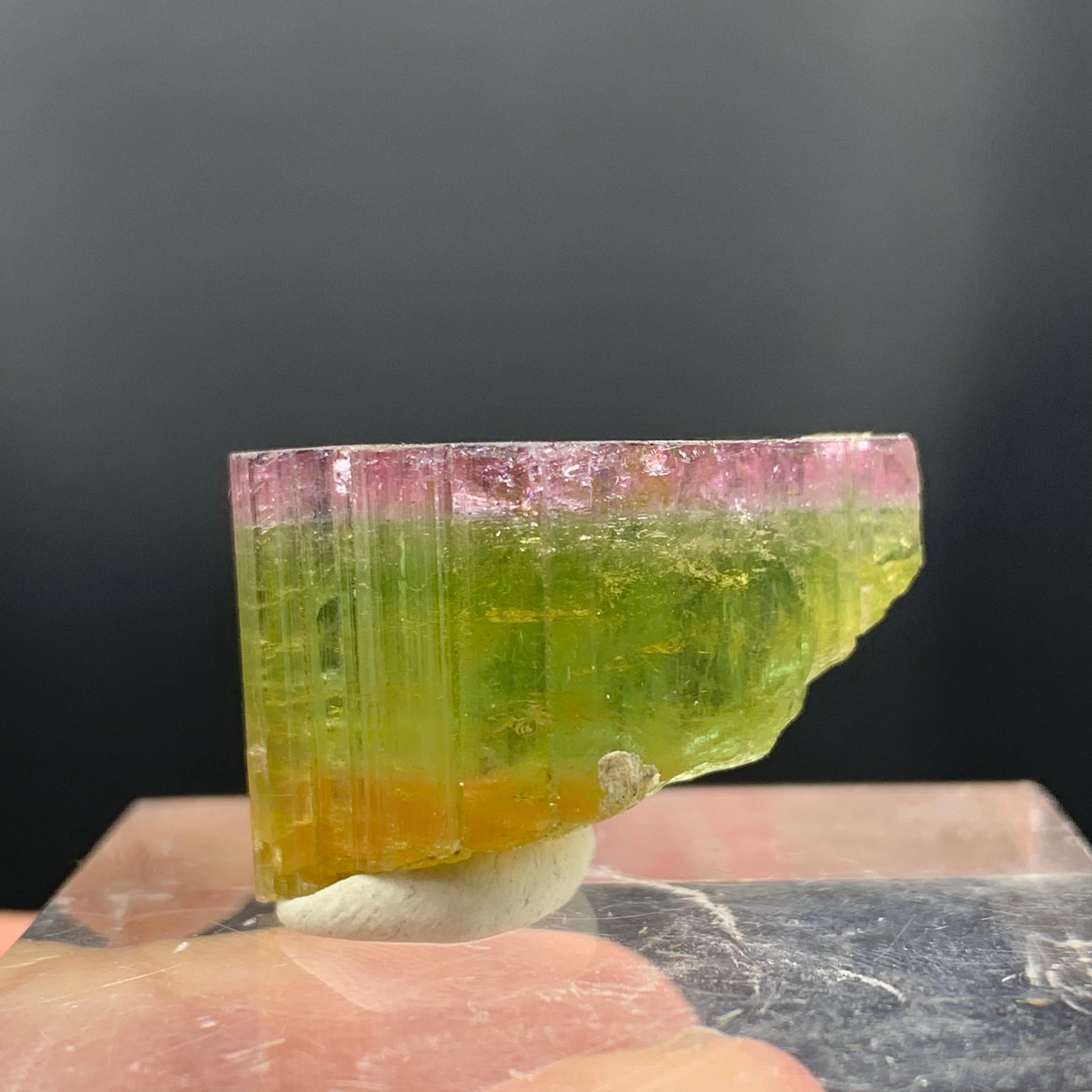 Elegant Tri Color Tourmaline Crystal From Paprook, Afghanistan 
Weight : 46.90 Carat 
Dim: 1.6 x 2.5 x 1.6 Cm 
Color : Pink, Green and Orange 
Origin : Paprook Mine, Afghanistan 

Tourmaline is a crystalline silicate mineral group in which boron is
