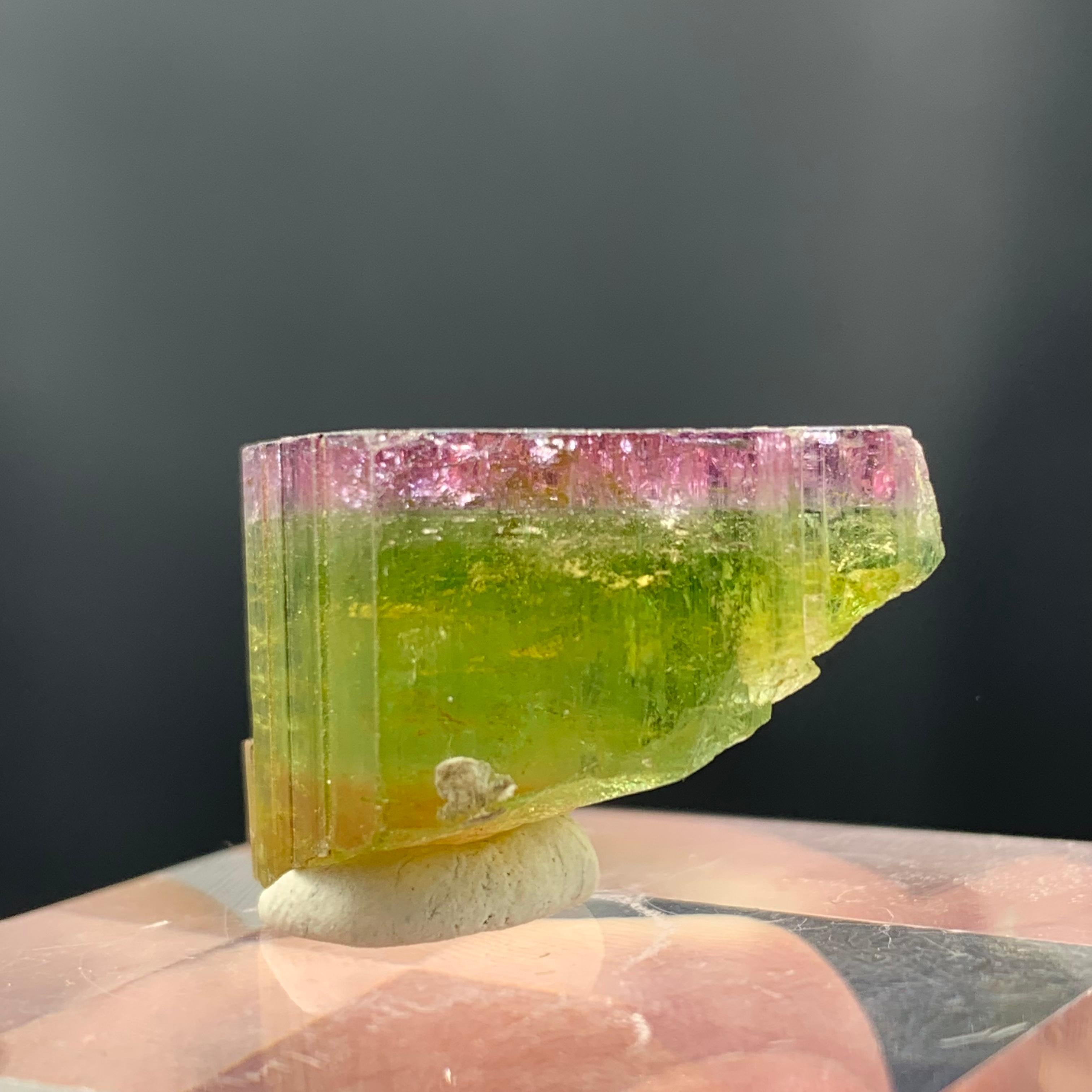 Other 46.90 Carat Elegant Tri Color Tourmaline Crystal From Paprook, Afghanistan  For Sale