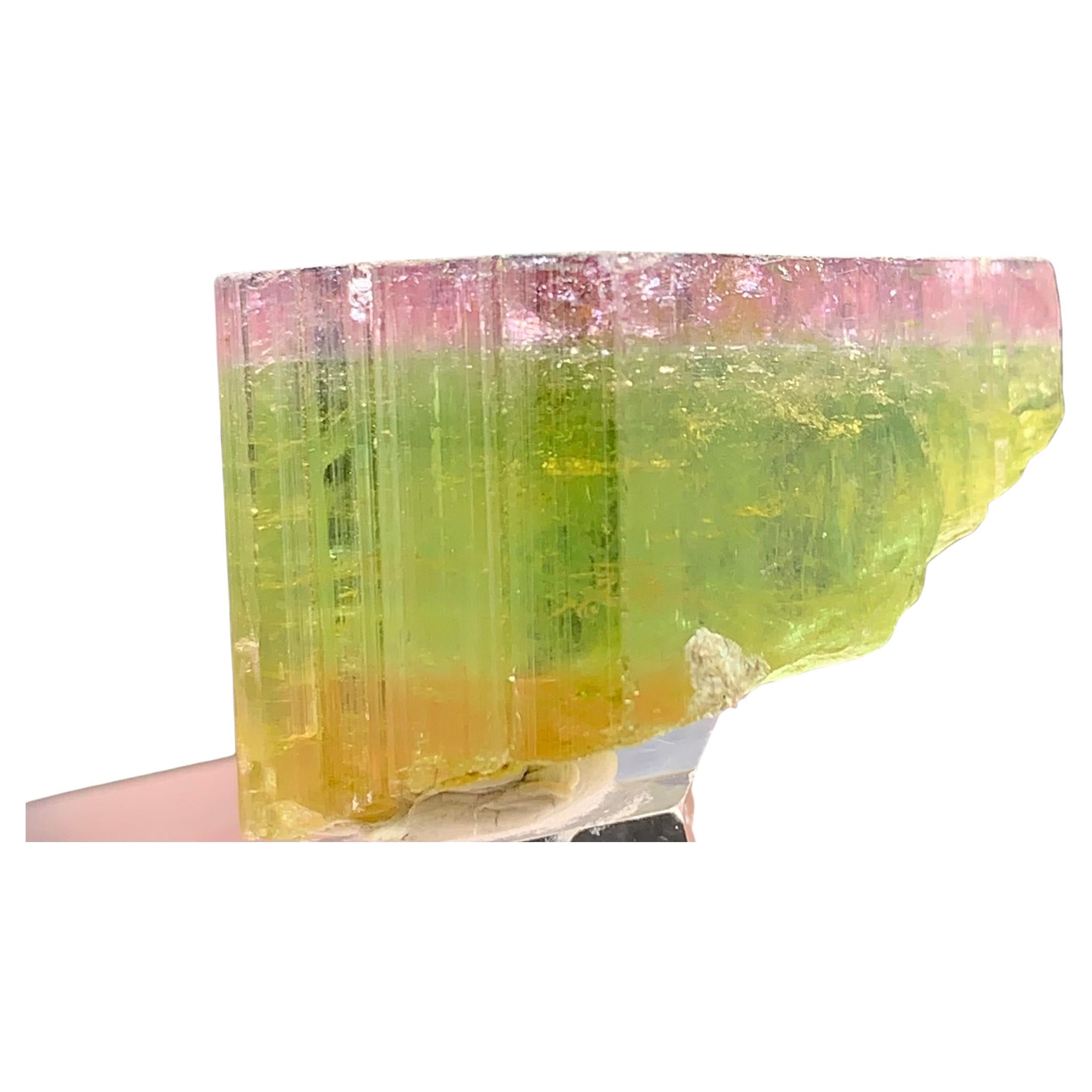46.90 Carat Elegant Tri Color Tourmaline Crystal From Paprook, Afghanistan  For Sale