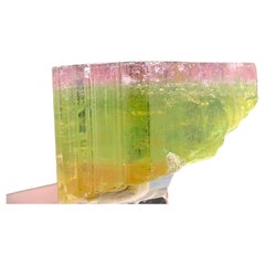 Élégant cristal de tourmaline tricolore 46,90 carats provenant de Paprook, Afghanistan 