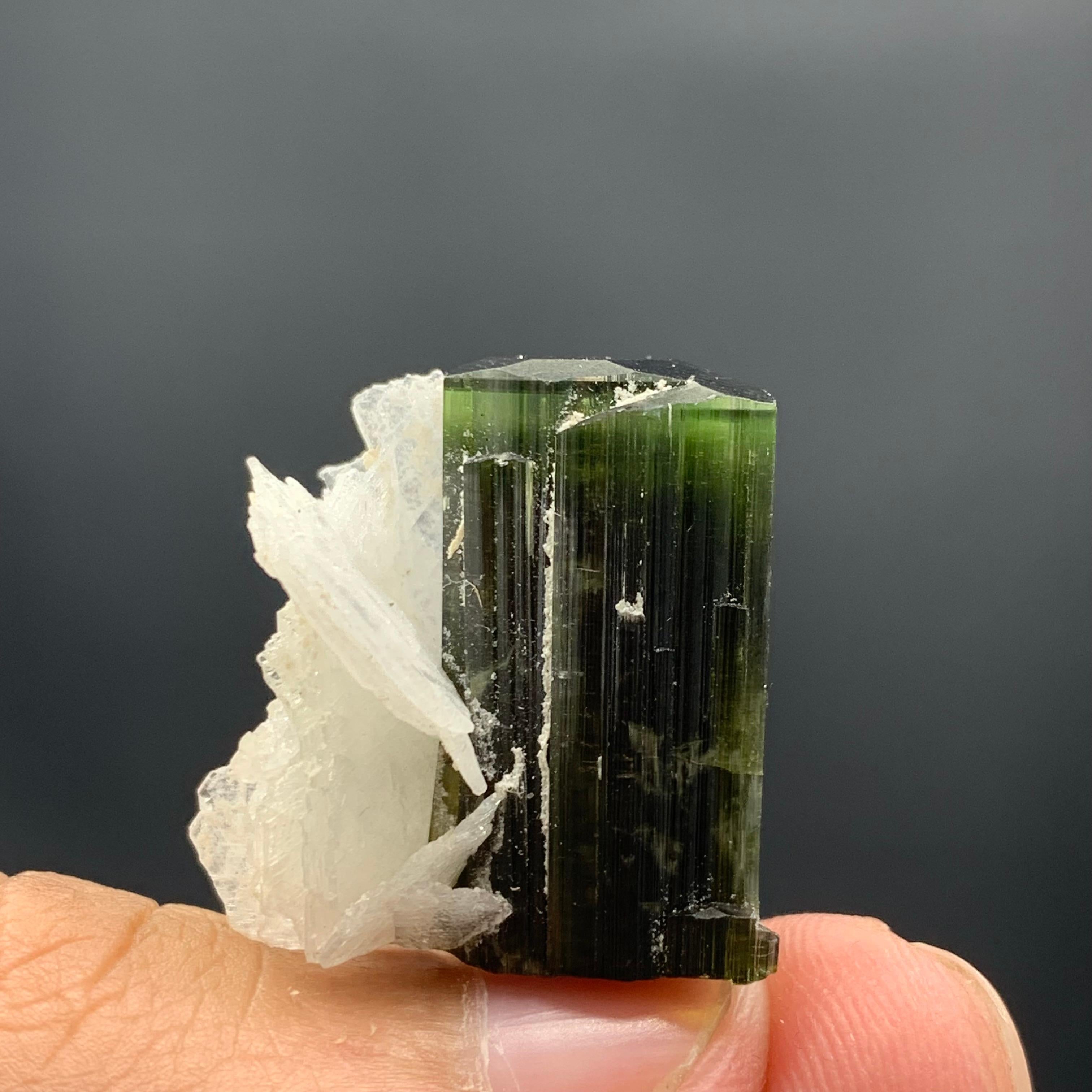 46.95 Cts Lovely Tourmaline With Albite Specimen From Stak Nala Valley, Pakistan For Sale 2