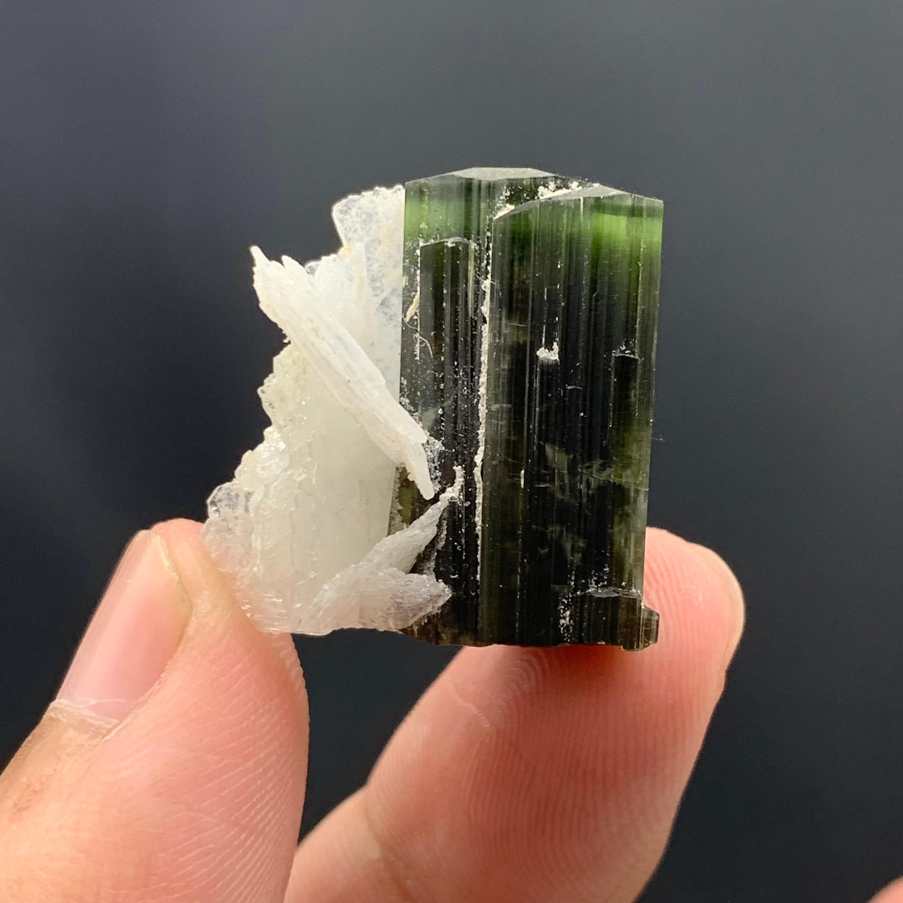 46.95 Cts Lovely Tourmaline With Albite Specimen From Stak Nala Valley, Pakistan For Sale 3