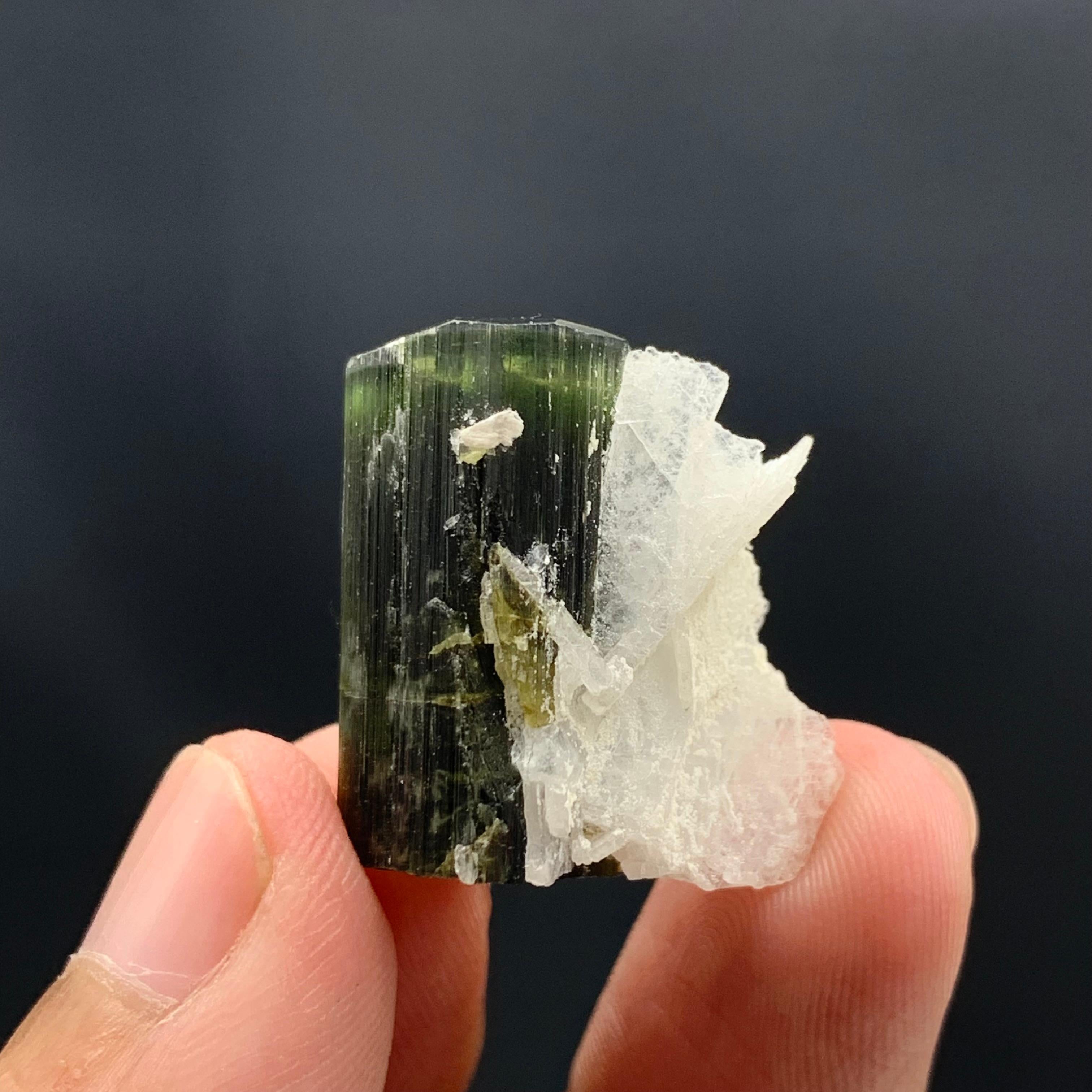 46.95 Cts Lovely Tourmaline With Albite Specimen From Stak Nala Valley, Pakistan For Sale 4