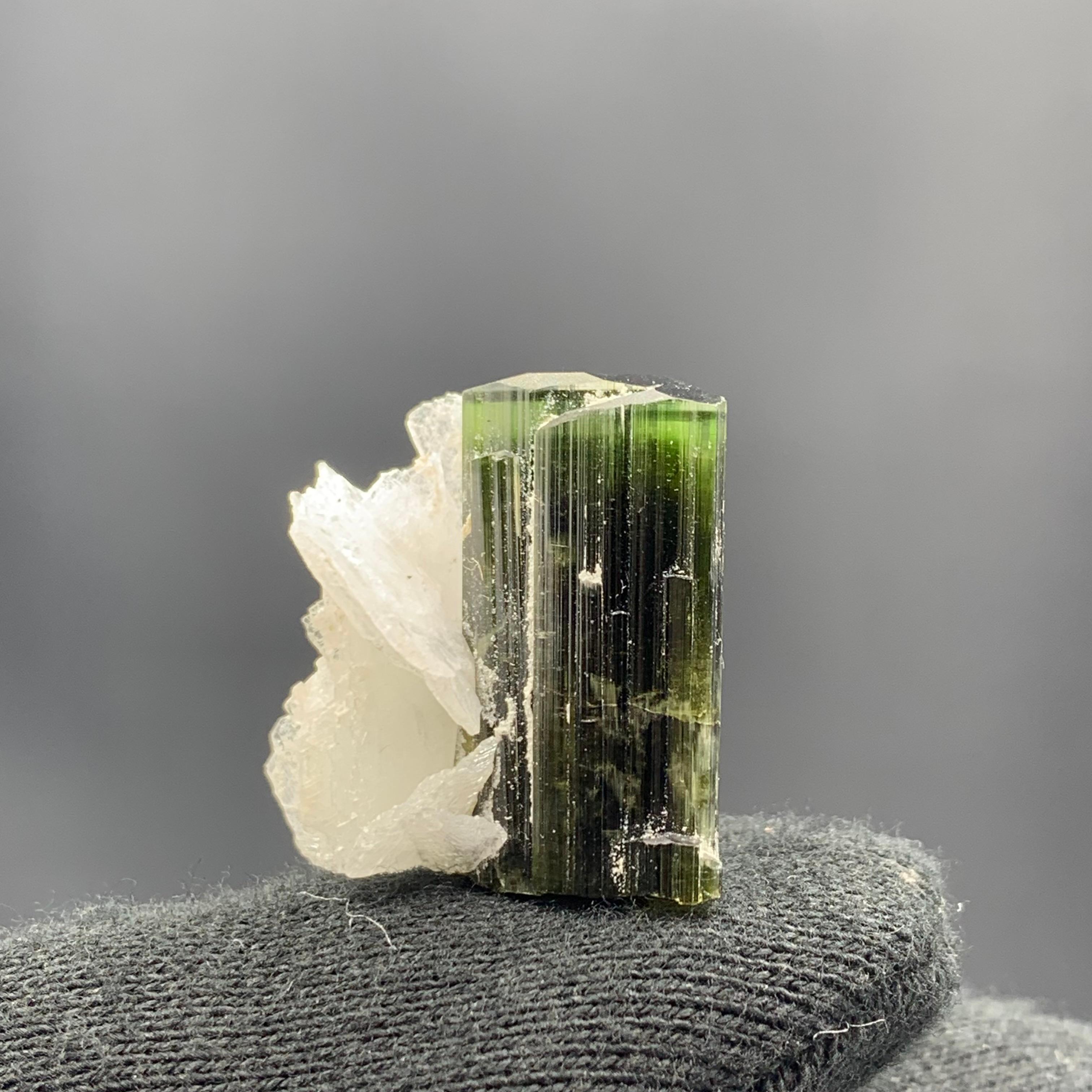 Adam Style 46.95 Cts Lovely Tourmaline With Albite Specimen From Stak Nala Valley, Pakistan For Sale