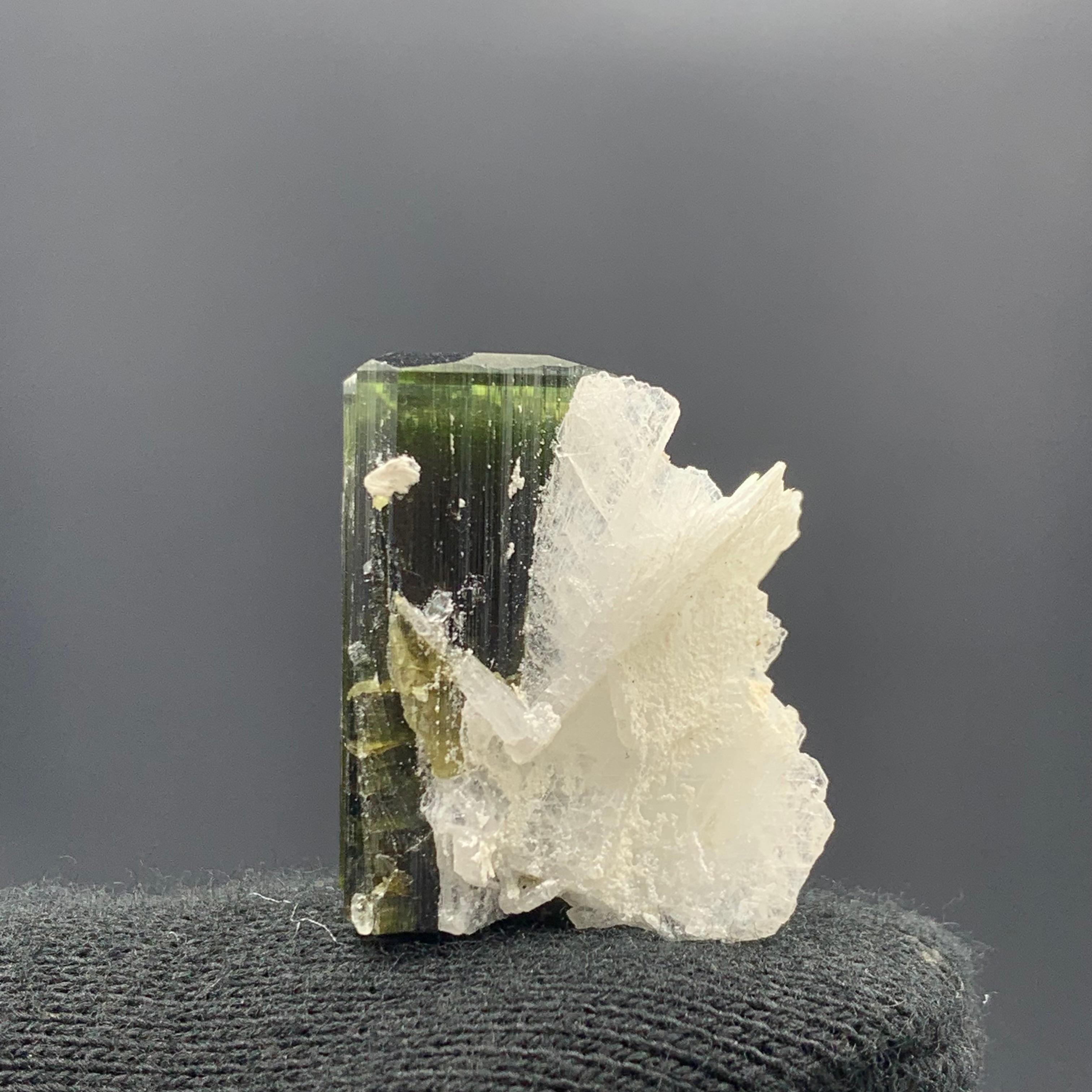 Other 46.95 Cts Lovely Tourmaline With Albite Specimen From Stak Nala Valley, Pakistan For Sale