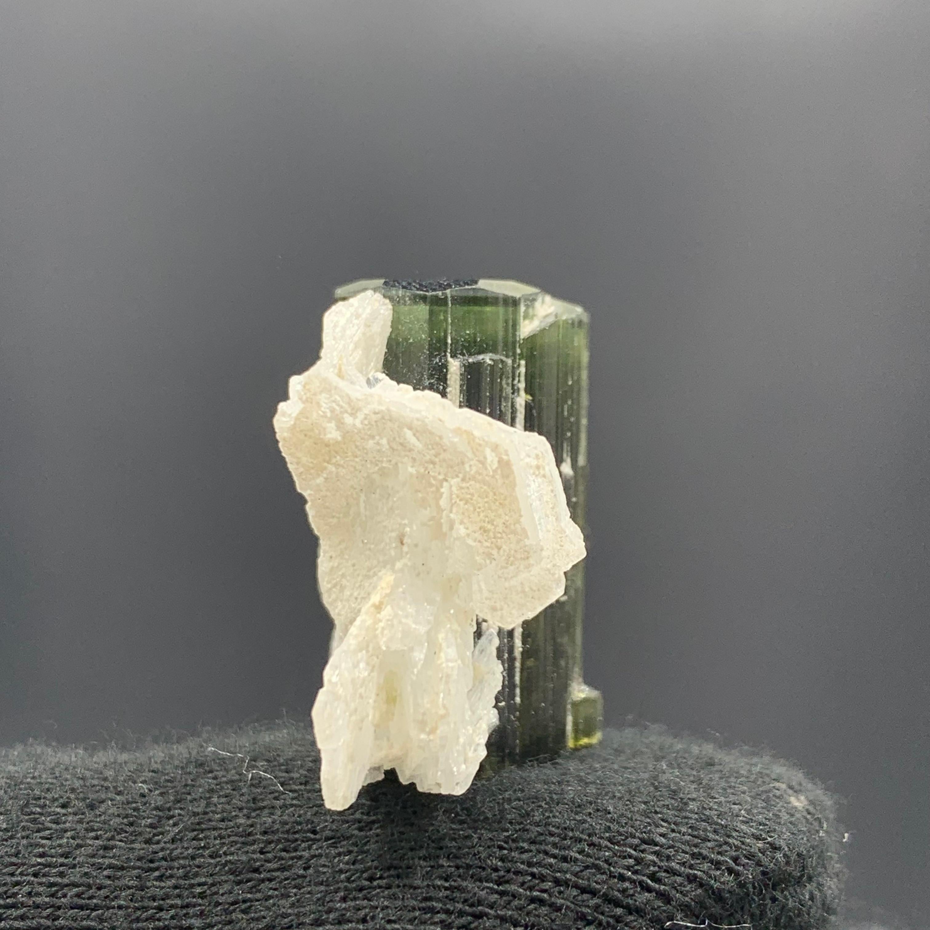 46.95 Cts Lovely Tourmaline With Albite Specimen From Stak Nala Valley, Pakistan In Good Condition For Sale In Peshawar, PK