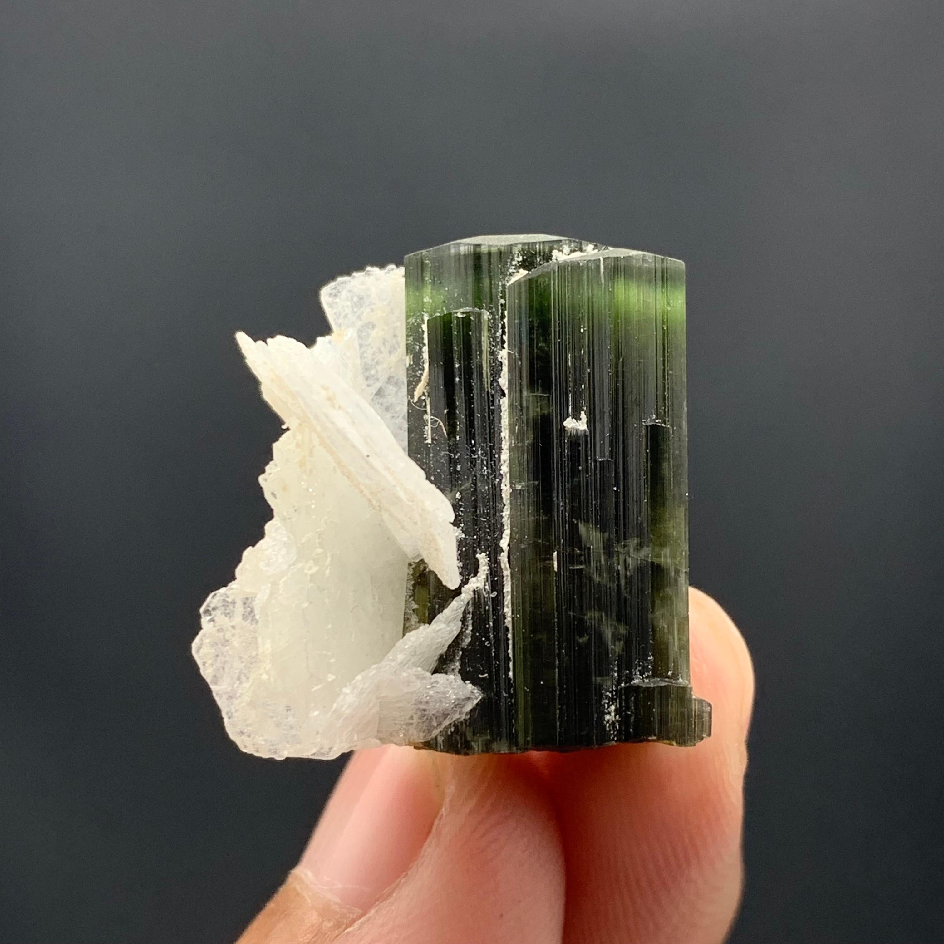 18th Century and Earlier 46.95 Cts Lovely Tourmaline With Albite Specimen From Stak Nala Valley, Pakistan For Sale