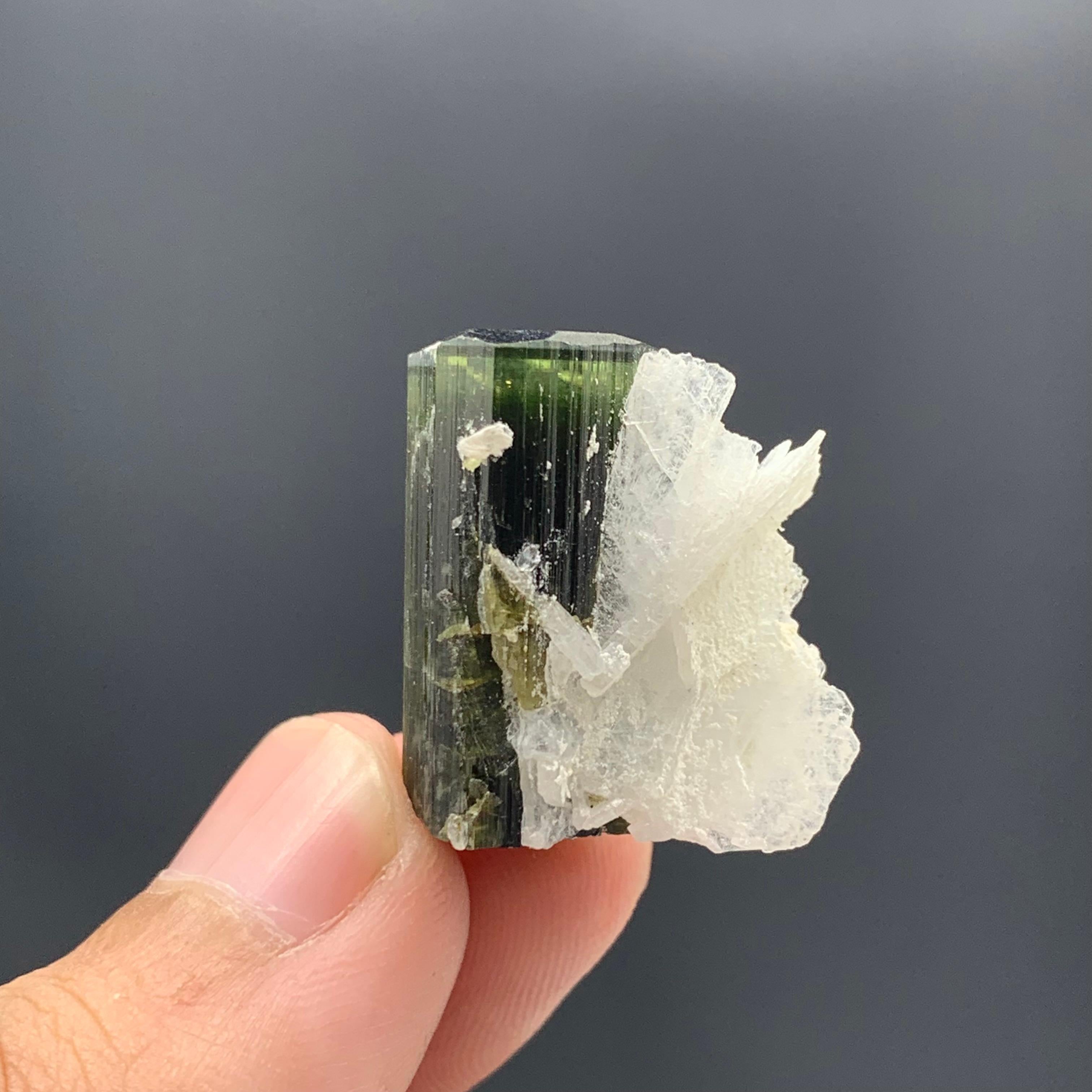 Rock Crystal 46.95 Cts Lovely Tourmaline With Albite Specimen From Stak Nala Valley, Pakistan For Sale
