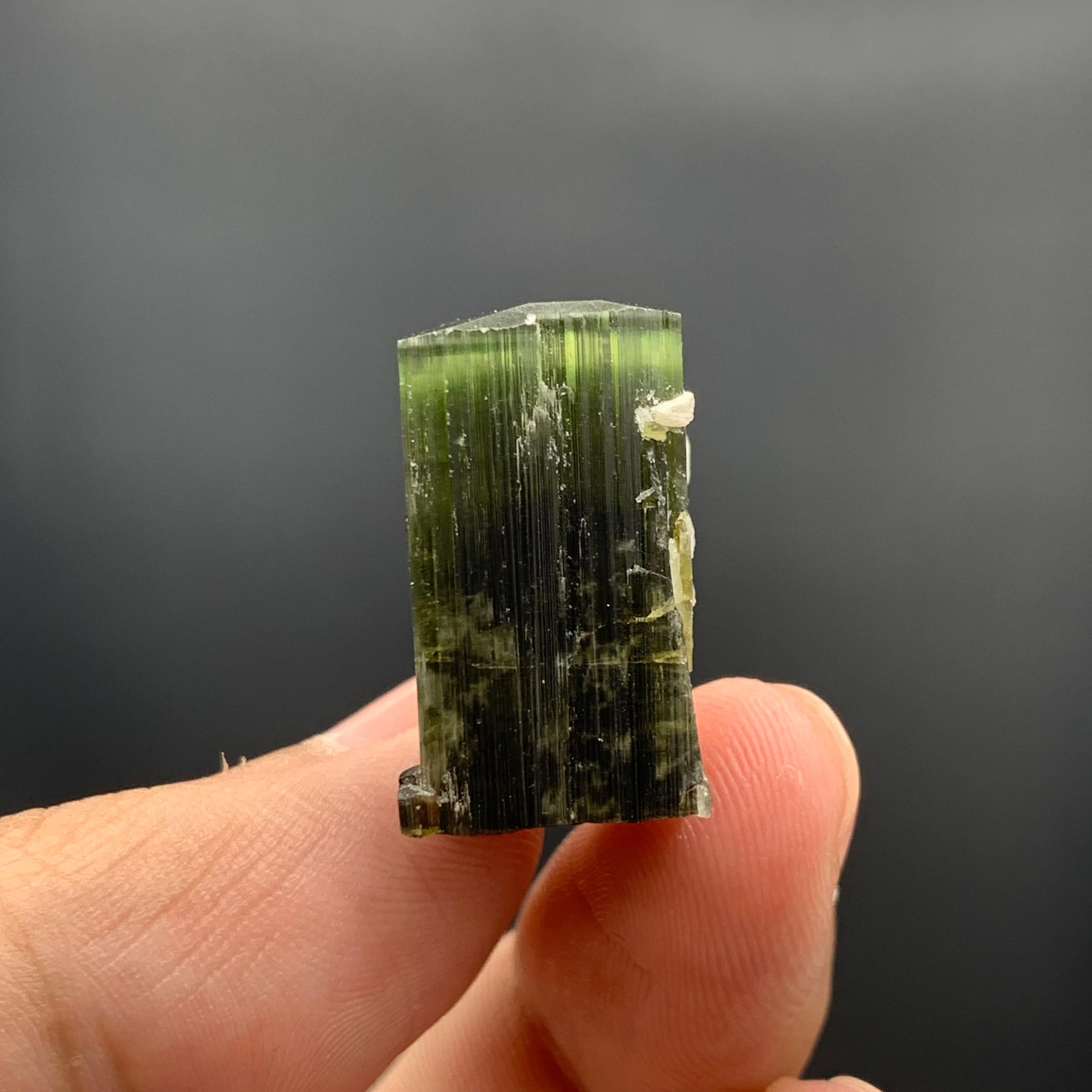 46.95 Cts Lovely Tourmaline With Albite Specimen From Stak Nala Valley, Pakistan For Sale 1