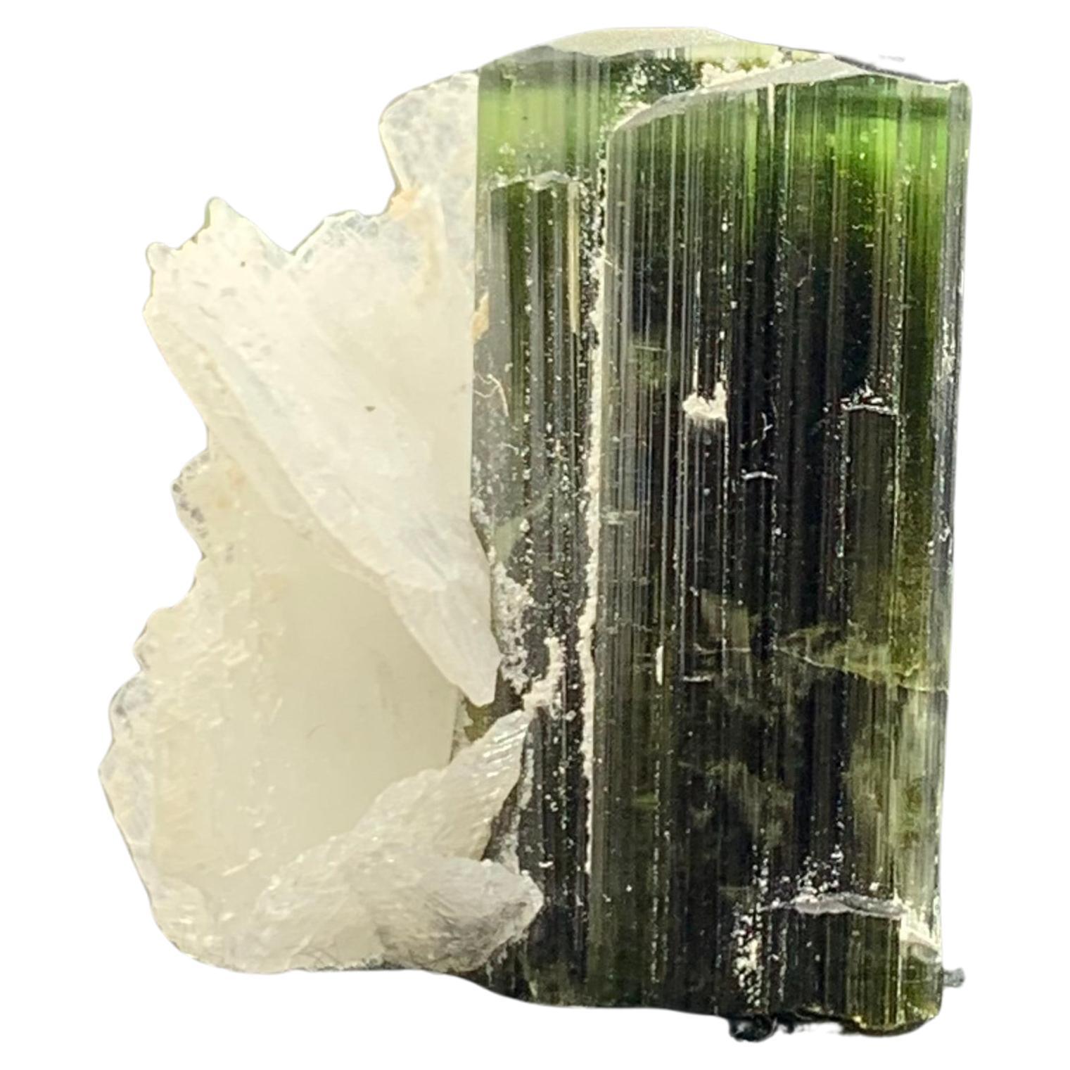 46.95 Cts Lovely Tourmaline With Albite Specimen From Stak Nala Valley, Pakistan