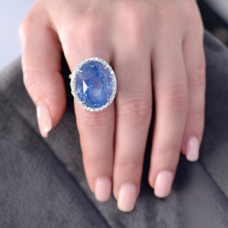 47,22 Carat Natural Sapphire Diamonds 18 Karat White Gold Cocktail Ring by D&A In New Condition For Sale In Yerevan, AM