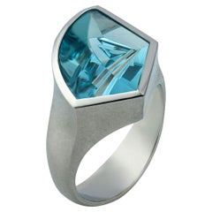 4.74 Carat Aquamarine Platinum Ring by Atelier Munsteiner