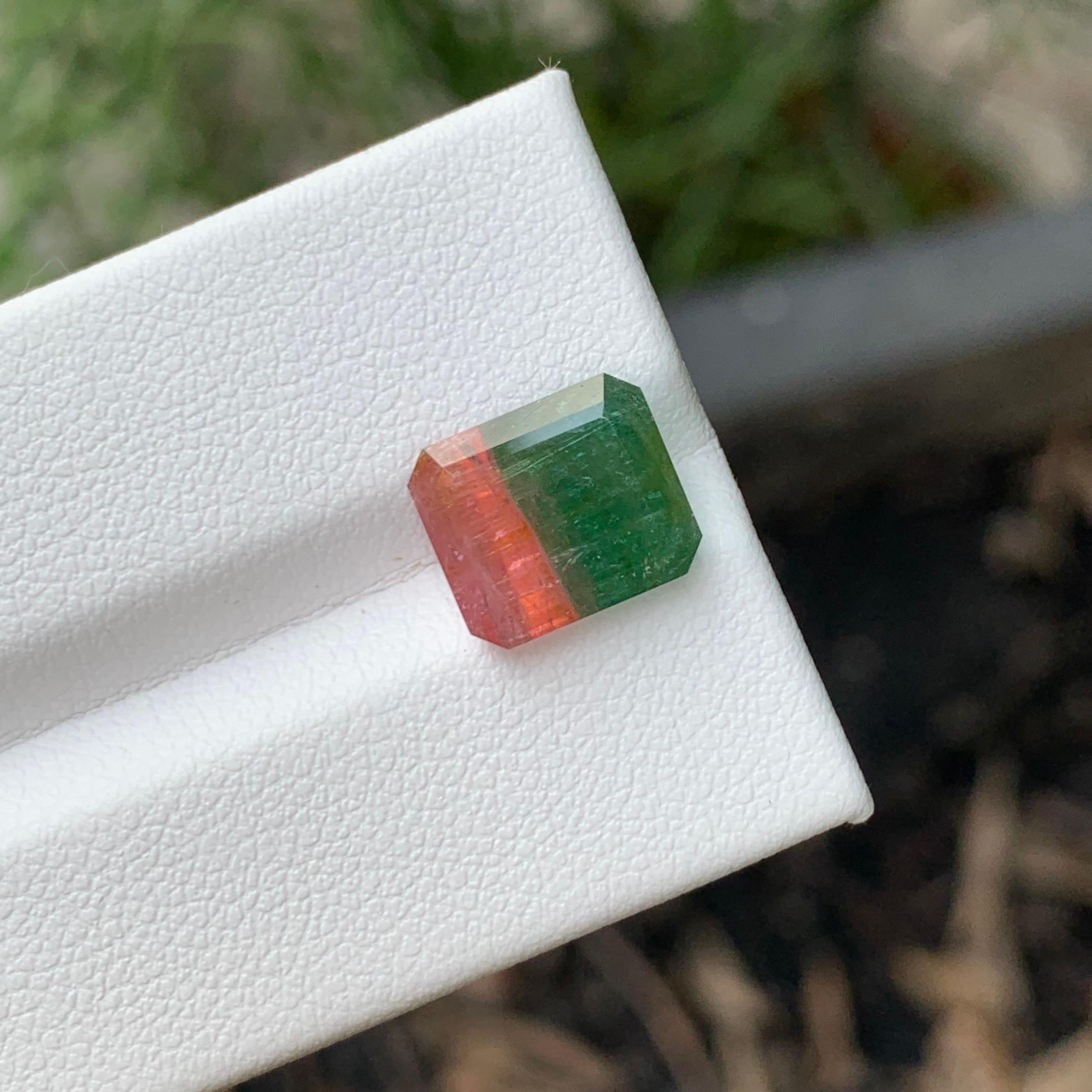 Faceted Bi Colour Tourmaline

Weight: 4.75 Carat
Dimension: 9.9 x 8.5 x 5.9 Mm
Colour: Green And Pink 
Origin: Afghanistan
Treatment: Non
Certificate: On Customer Demand


Tourmaline is a captivating gemstone known for its remarkable variety of