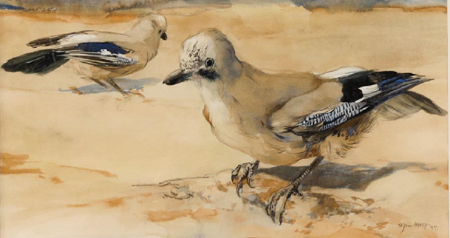 Adrianus Johannes van 't Hoff (1893-1939) - Aquarelle encadrée 1929, Deux Jays - Art de Unknown