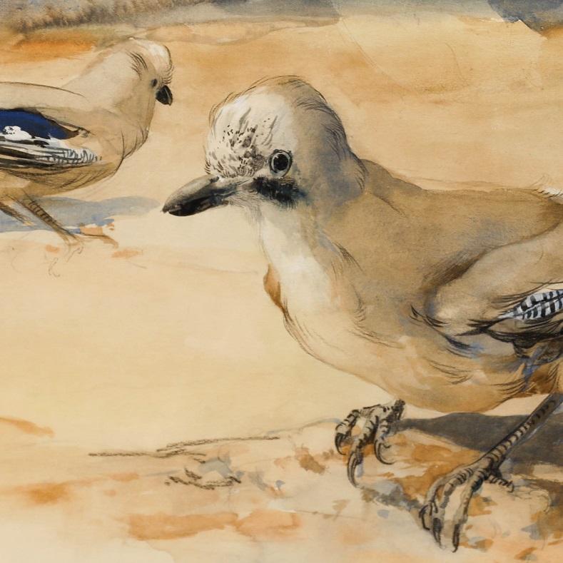 Adrianus Johannes van 't Hoff (1893-1939) - Aquarelle encadrée 1929, Deux Jays - Expressionnisme abstrait Art par Unknown