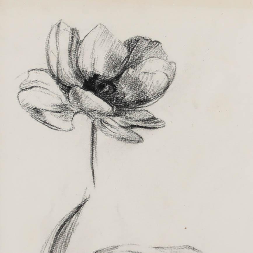 Atrib. John Cluysenaar (1899-1986) - Dibujo al carboncillo de mediados del siglo XX, Anémona - Still-Life Gris de Unknown