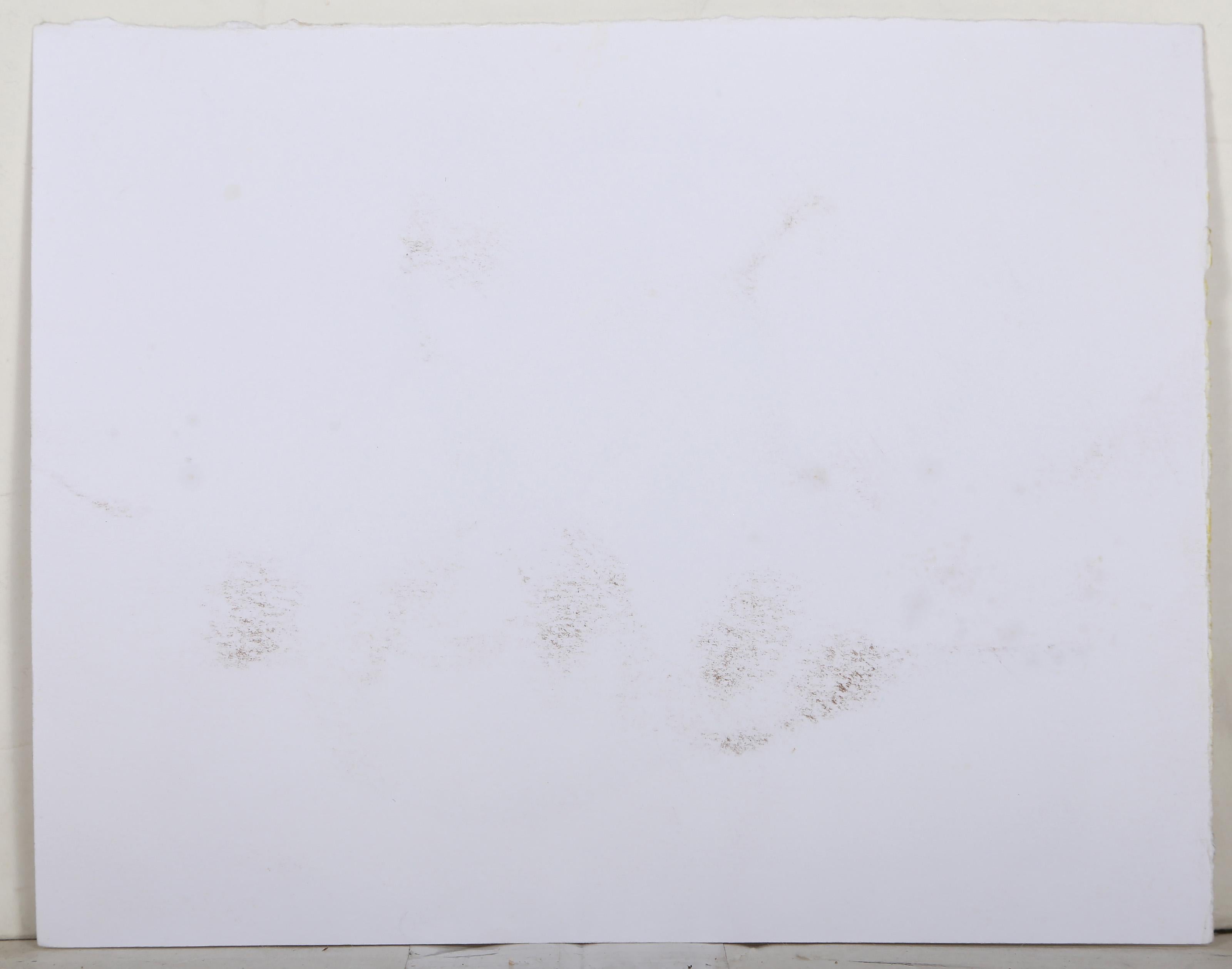 Zwei Birnen, Modern Color Bleistift auf Papier von Robert Kulicke im Angebot 4