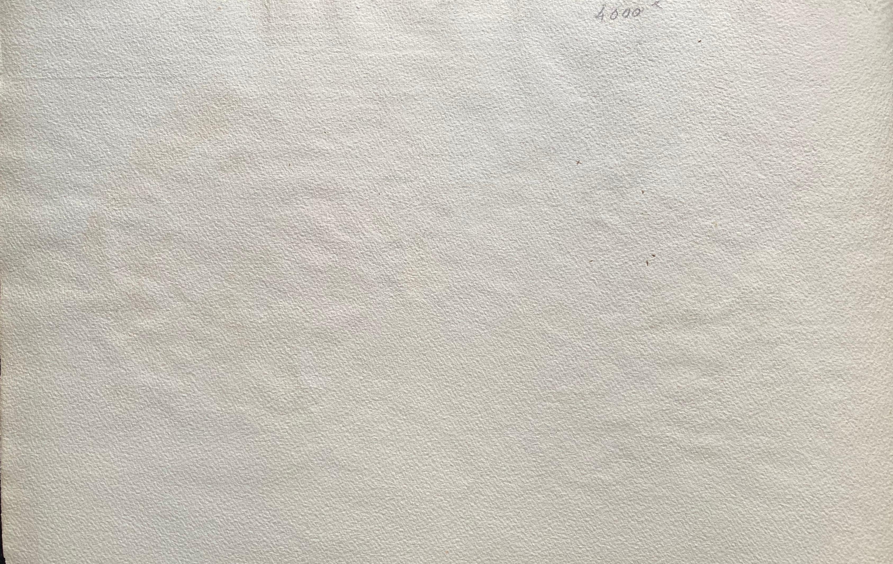 Early 1900's French Impressionist Signed Flower Watercolour by Marie Carreau For Sale 1