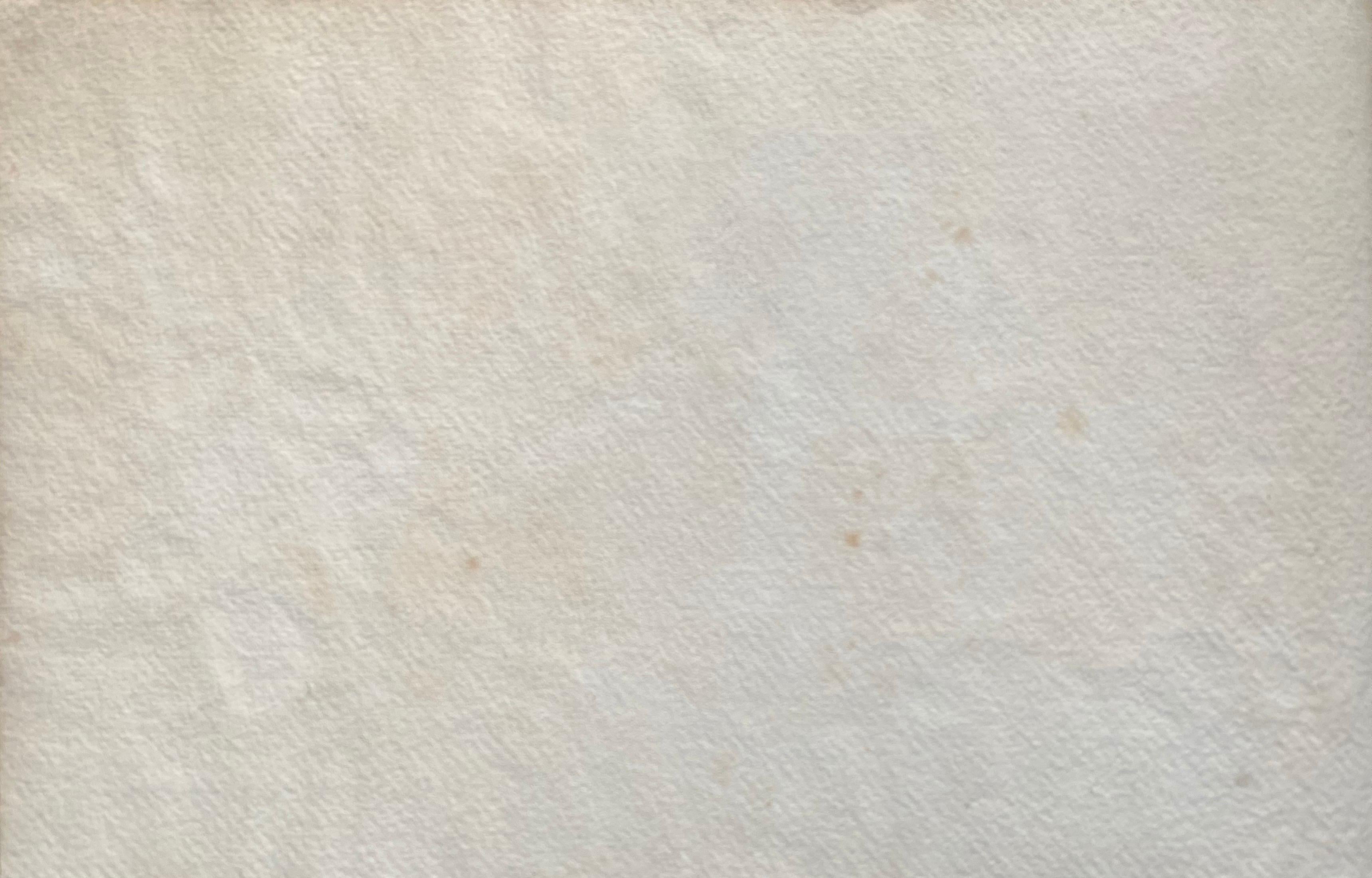 Early 1900's French Impressionist Signed Flower Watercolour by Marie Carreau For Sale 2
