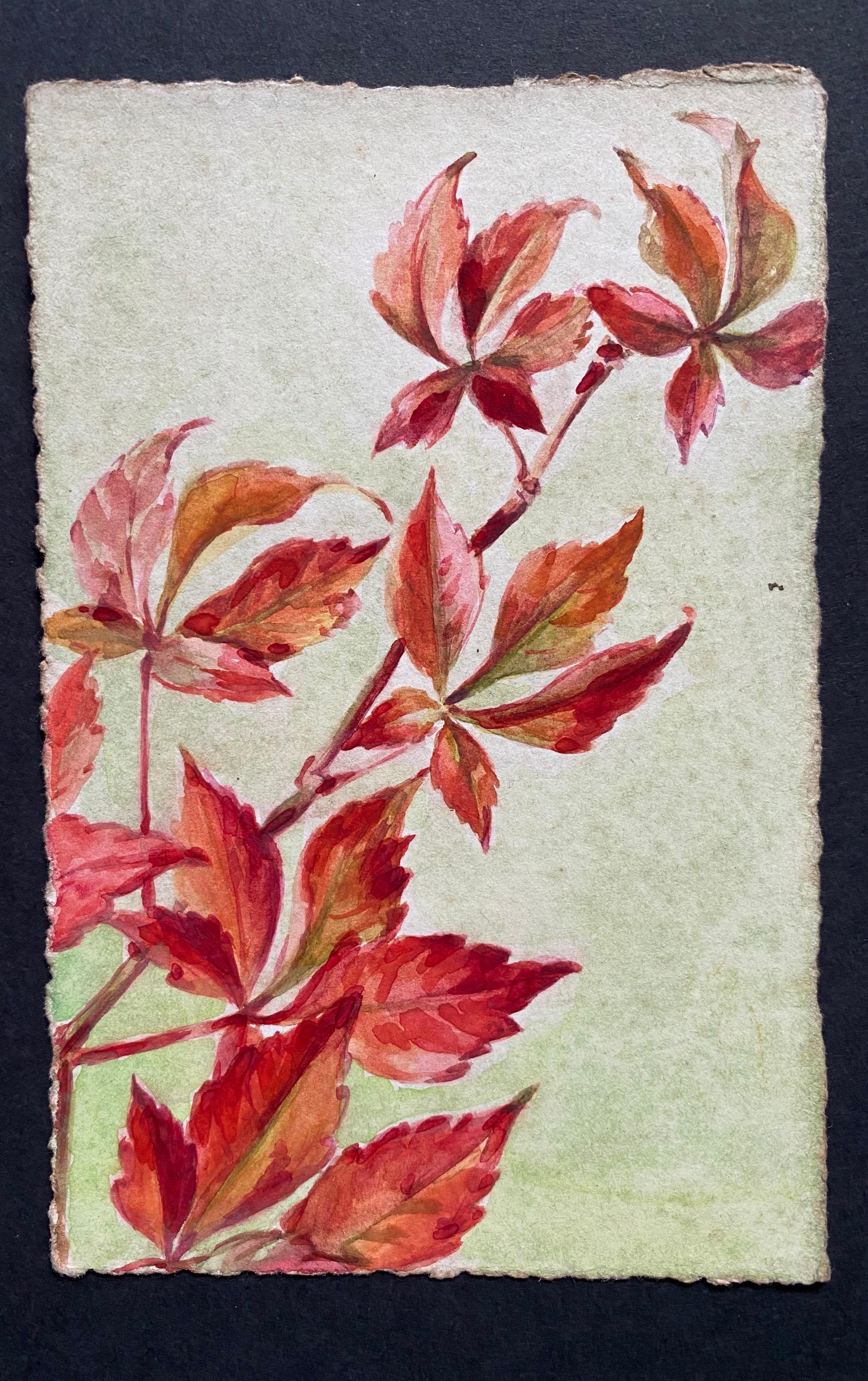 Early 1900's French Impressionist Signed Flower Watercolours Marie Carreau - Beige Still-Life by Unknown