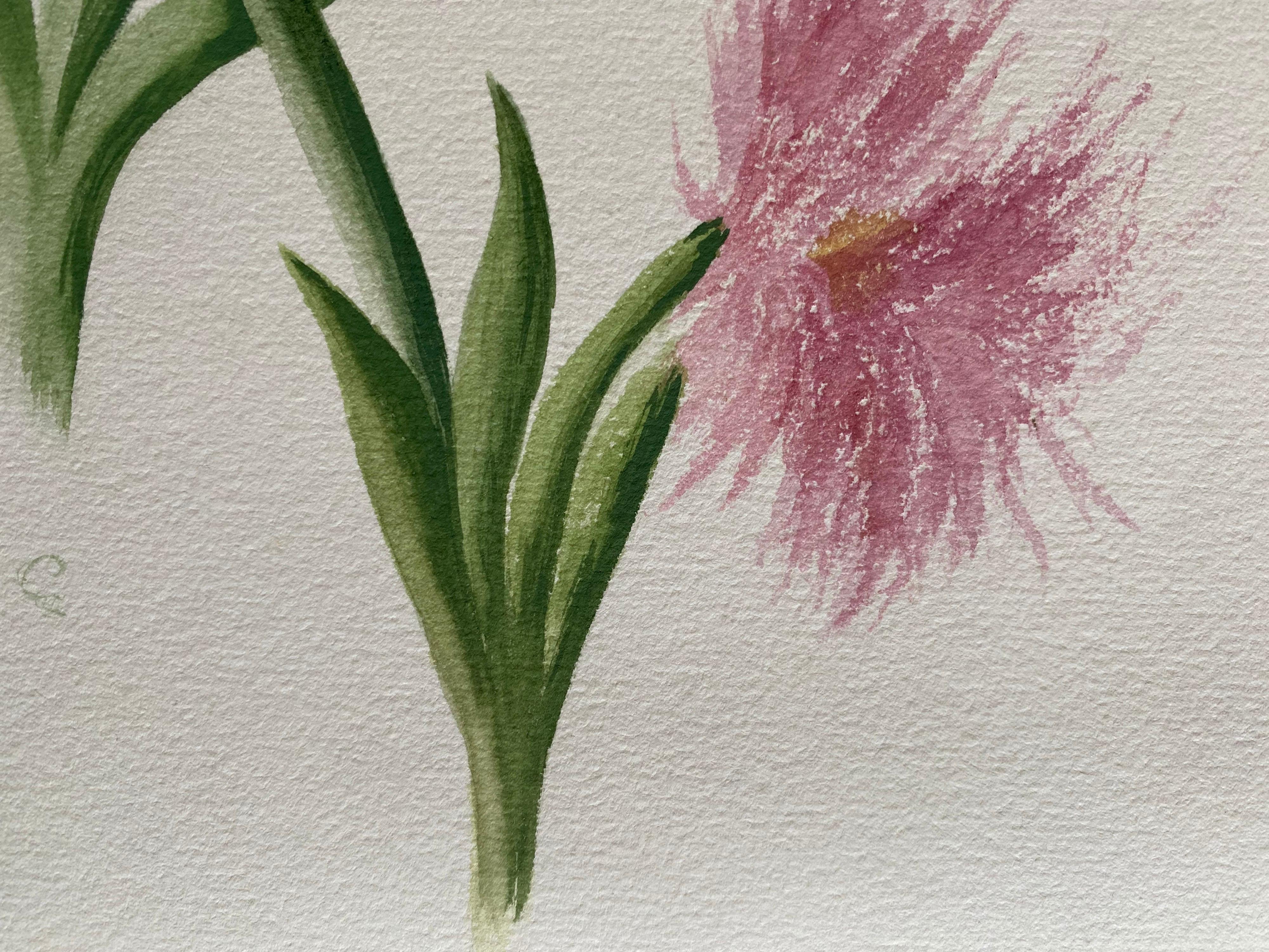 Ensemble de deux aquarelles botaniques britanniques anciennes, vers 1900 - Art de Unknown