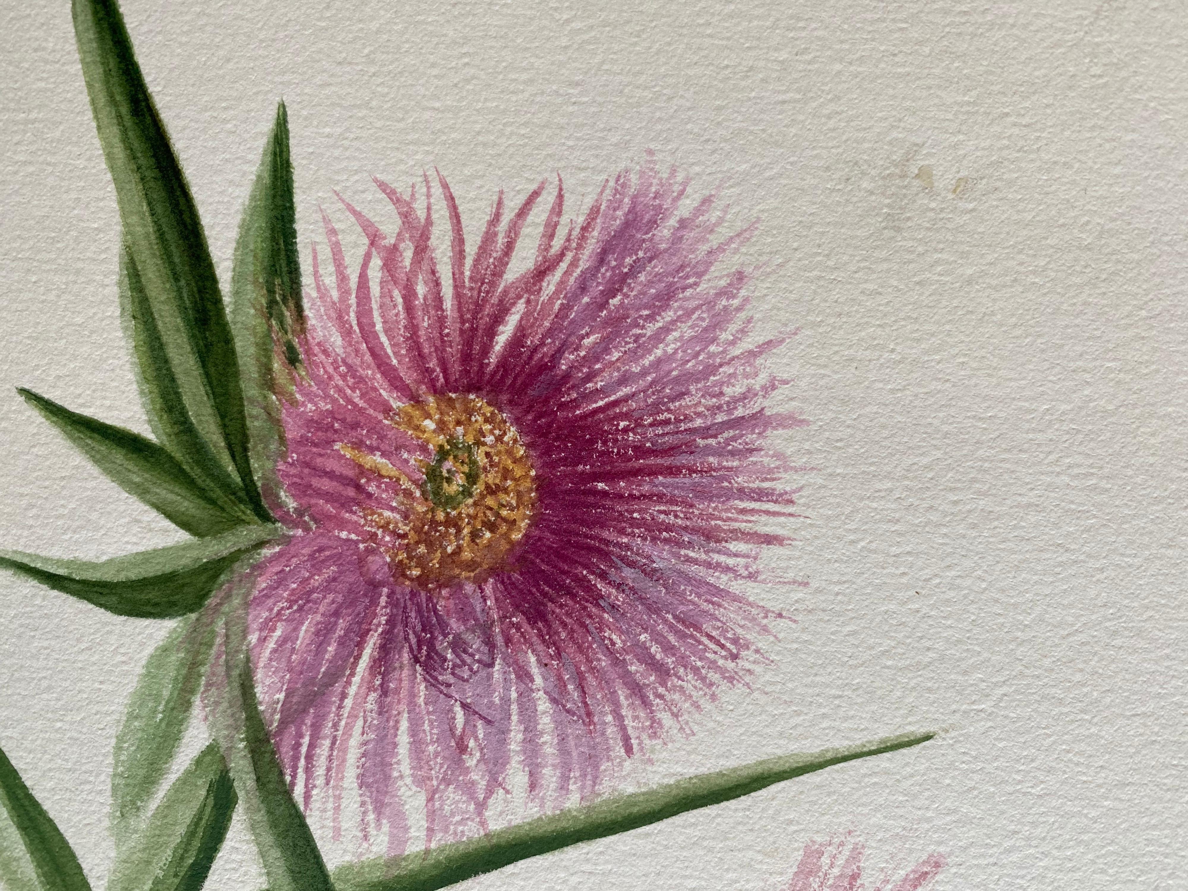 Ensemble de deux aquarelles botaniques britanniques anciennes, vers 1900 - Victorien Art par Unknown