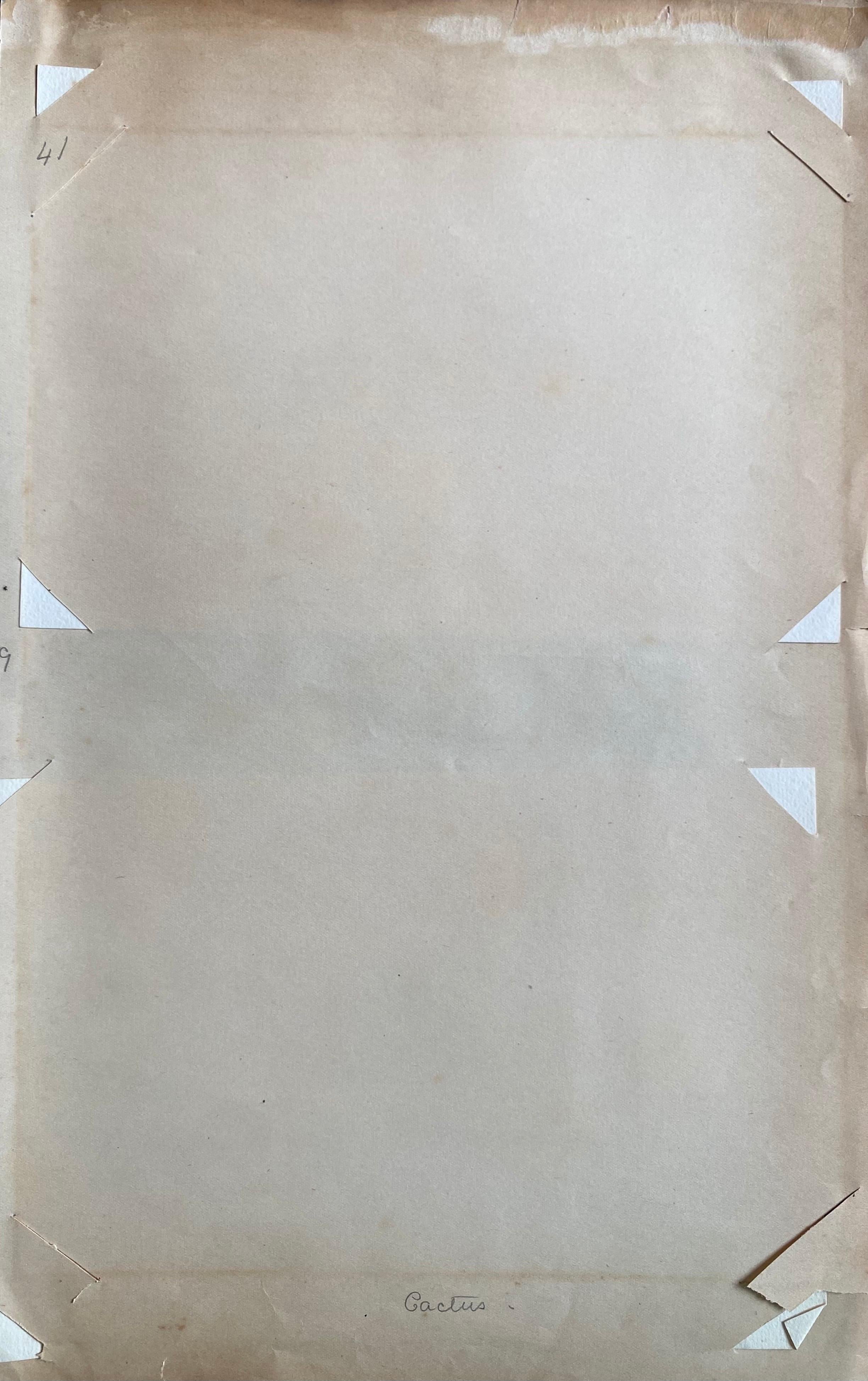 Ensemble de deux aquarelles botaniques britanniques anciennes, vers 1900 en vente 1
