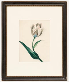Acquerello dei primi del Novecento - Studio di tulipani I