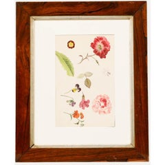 Sophia Katherine Charleton (1789-1844) - Watercolour, Anemone and Rose