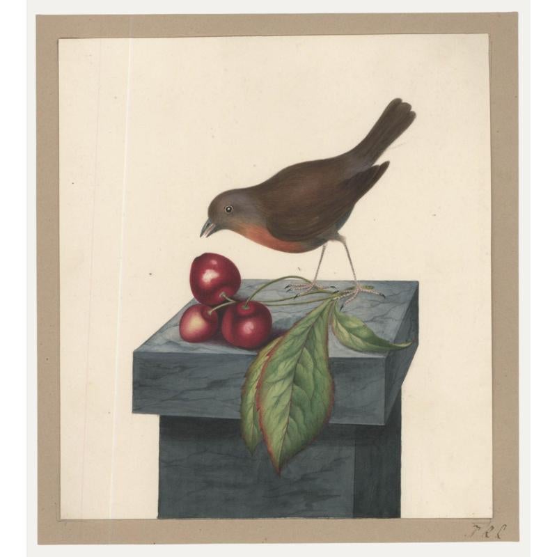Animal Art di Unknown - Sophia Katherine Charleton (1789-1844) - Acquerello, Pettirosso e ciliegie