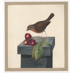 Sophia Katherine Charleton (1789-1844) - Watercolour, Robin and Cherries