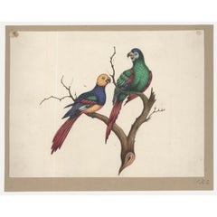 Sophia Katherine Charleton (1789-1844) - Watercolour, Perching Parrots